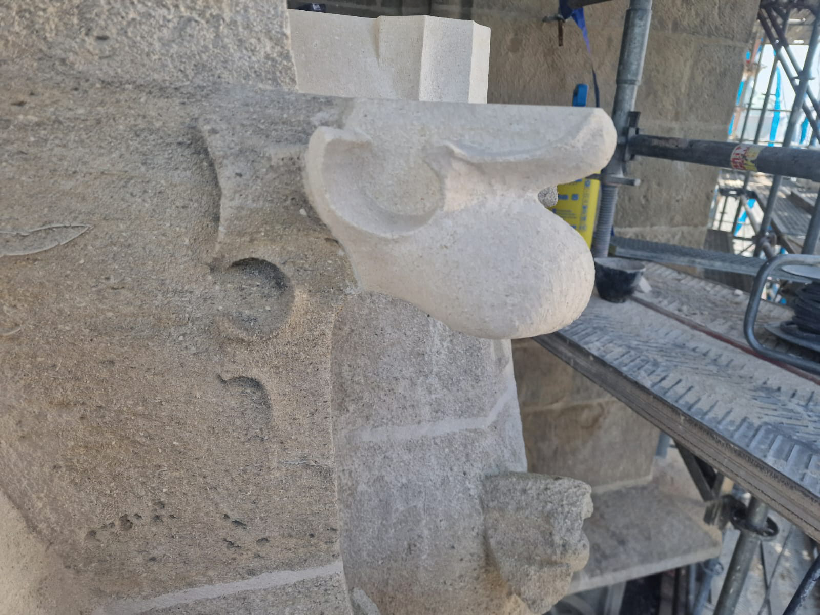 Klosterneuburg - gotische Krabbe