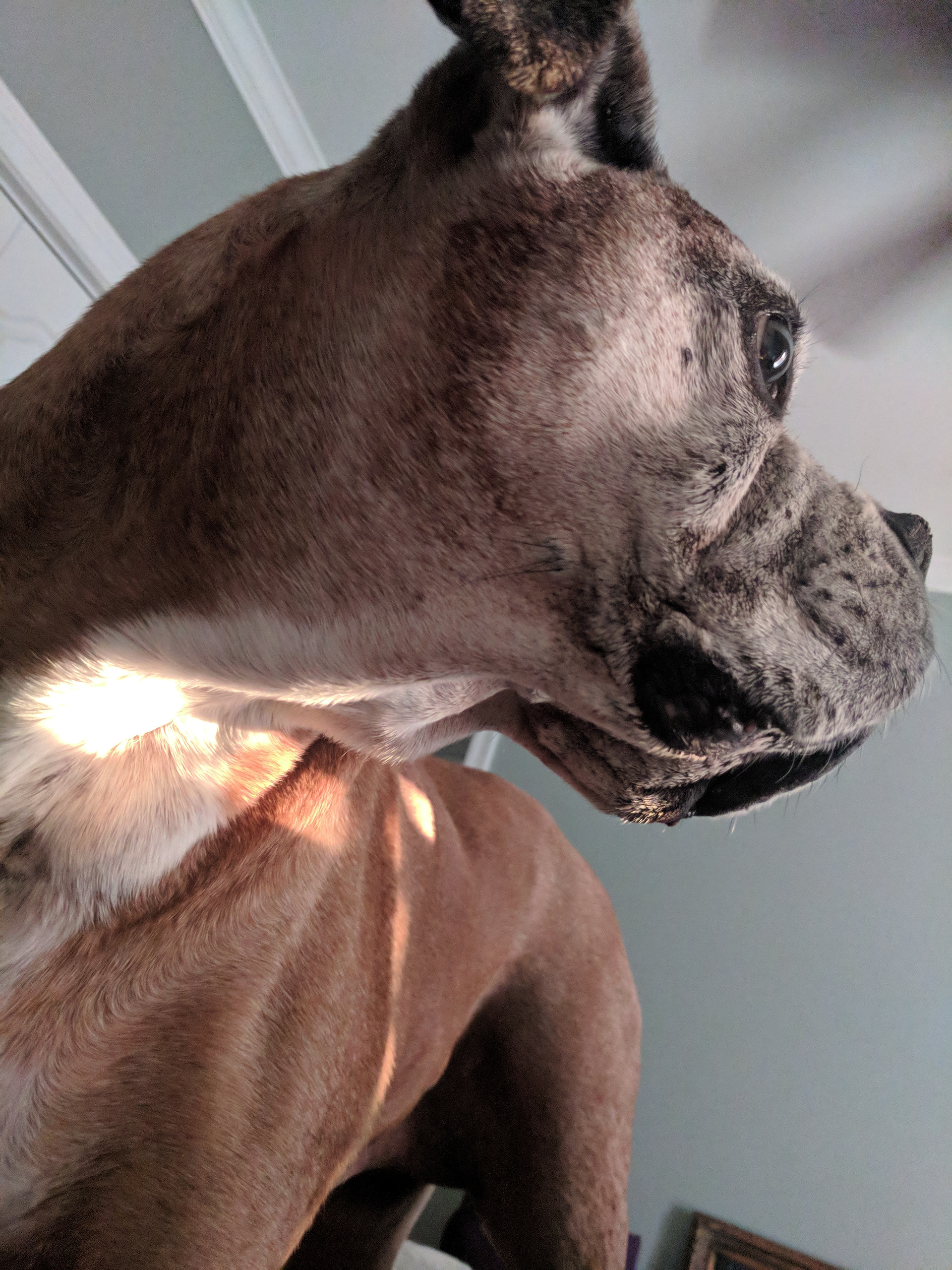 copper