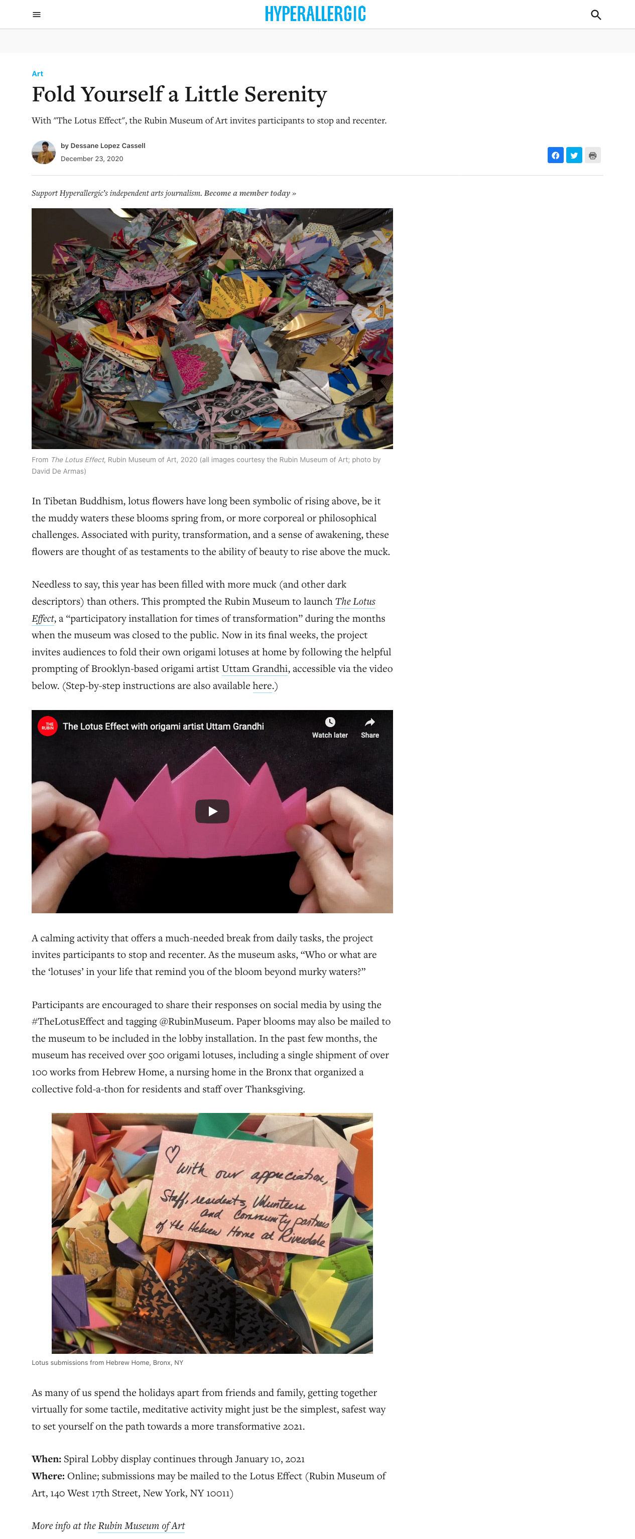 Hyperallergic wrote a piece on The Lotus Effect project I did in collaboration with The Rubin, 2020