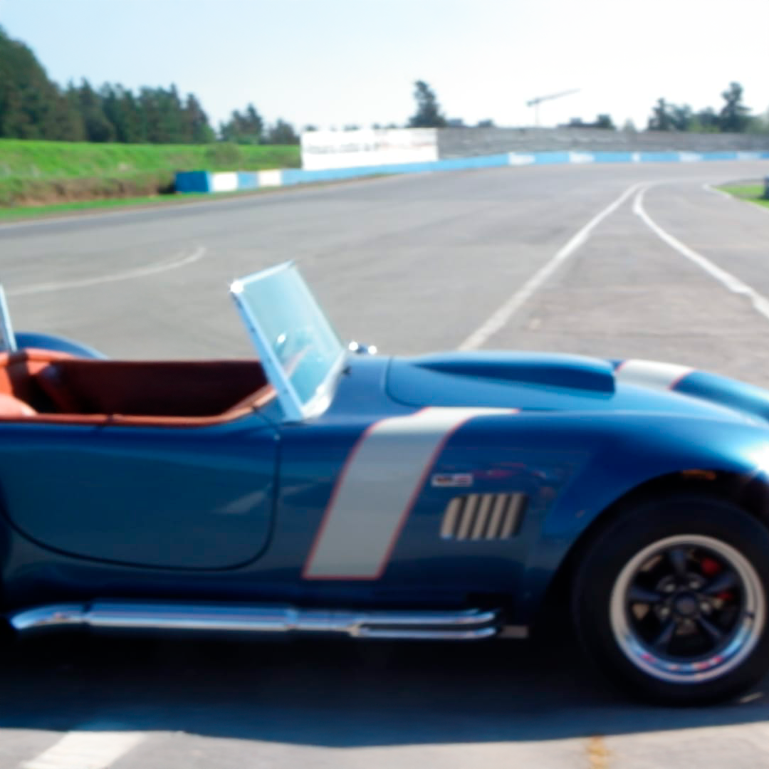 Cobra.