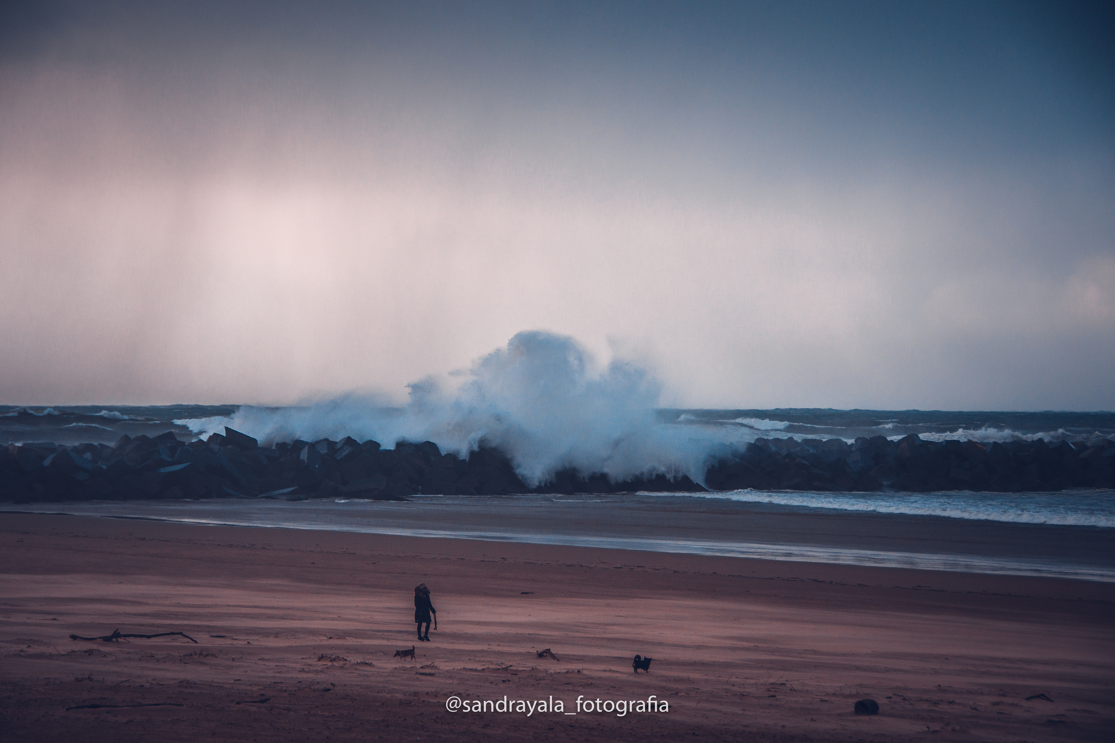 @sandrayala_fotografia