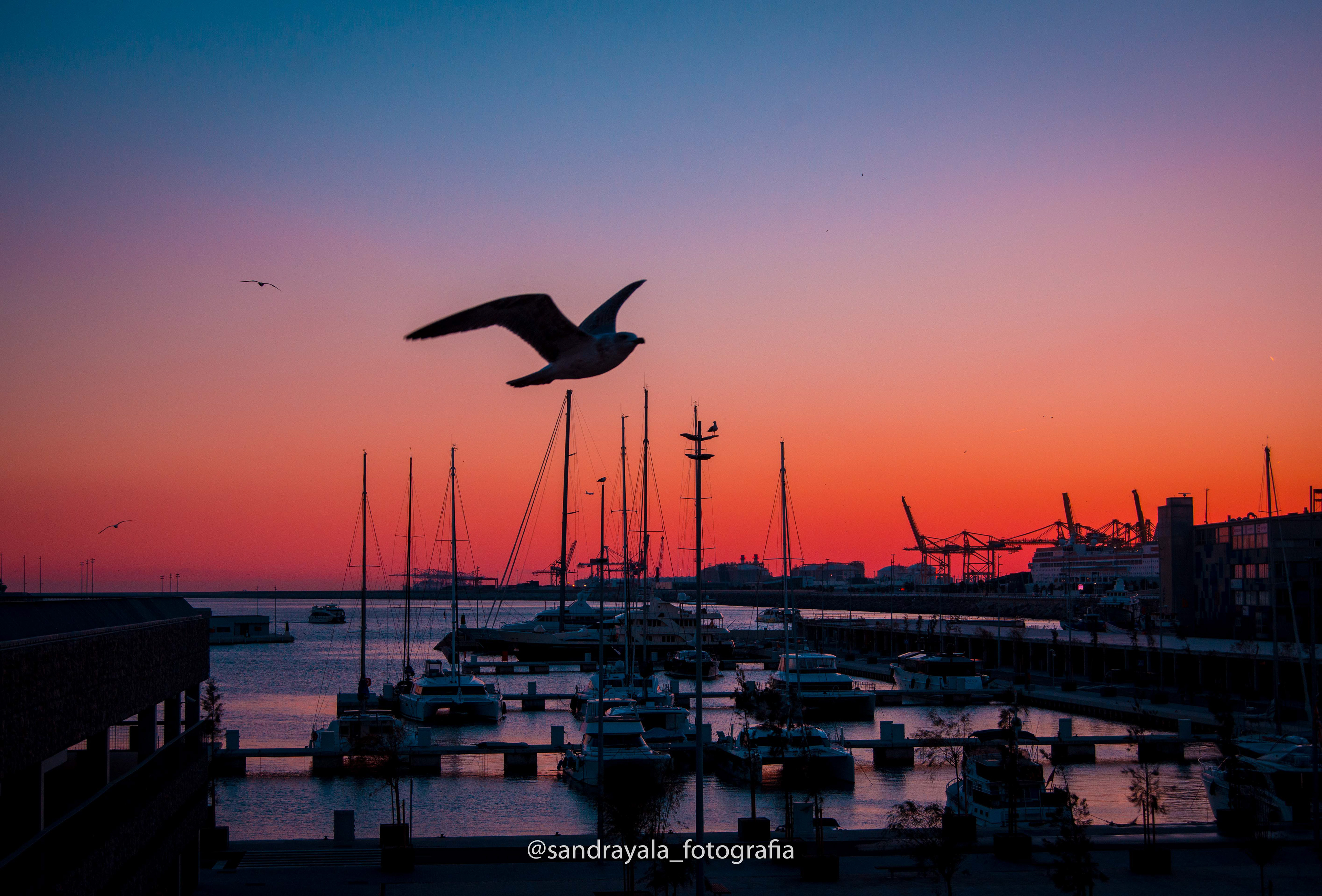 @sandrayala_fotografia