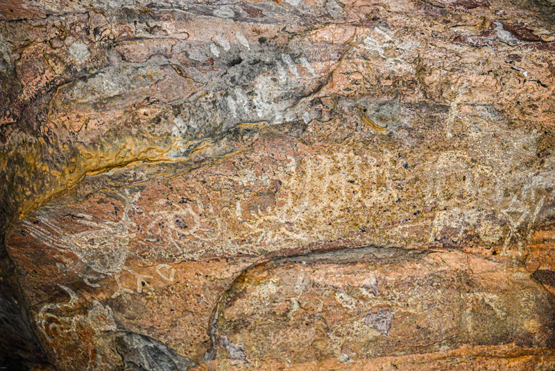 Rock shelter 8