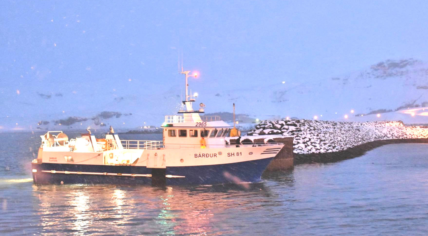 Returns to harbour fully loaded after a good day at sea in Iceland.