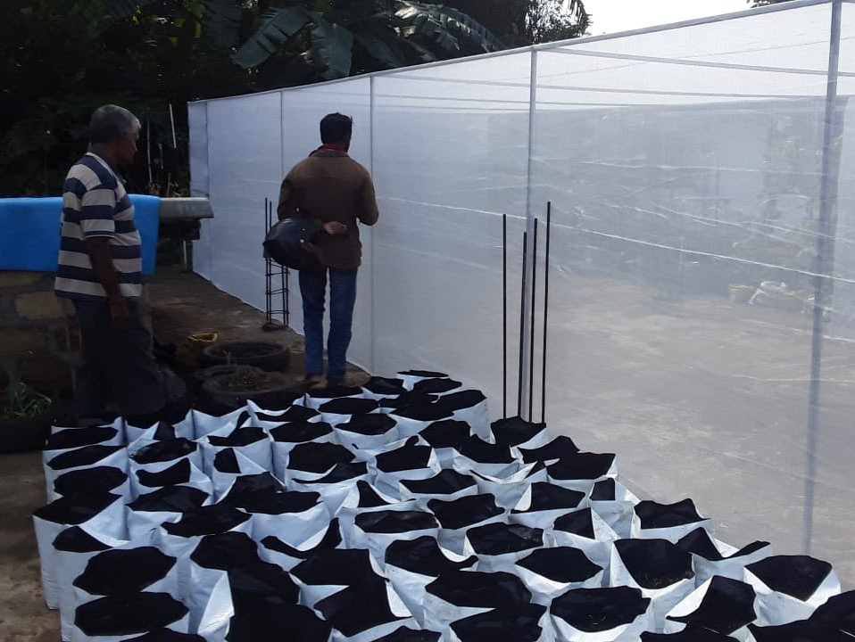 張られた防虫ネット