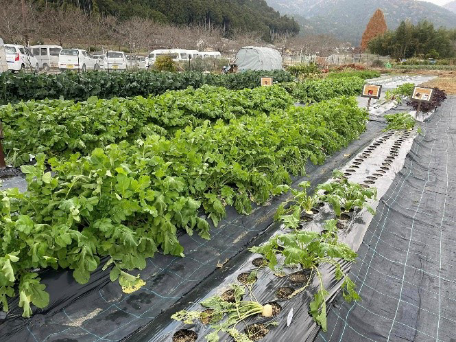 同病院のグリーンファームリハビリテーションの様子