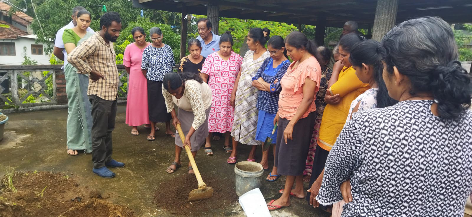 グリーンチリ栽培の研修