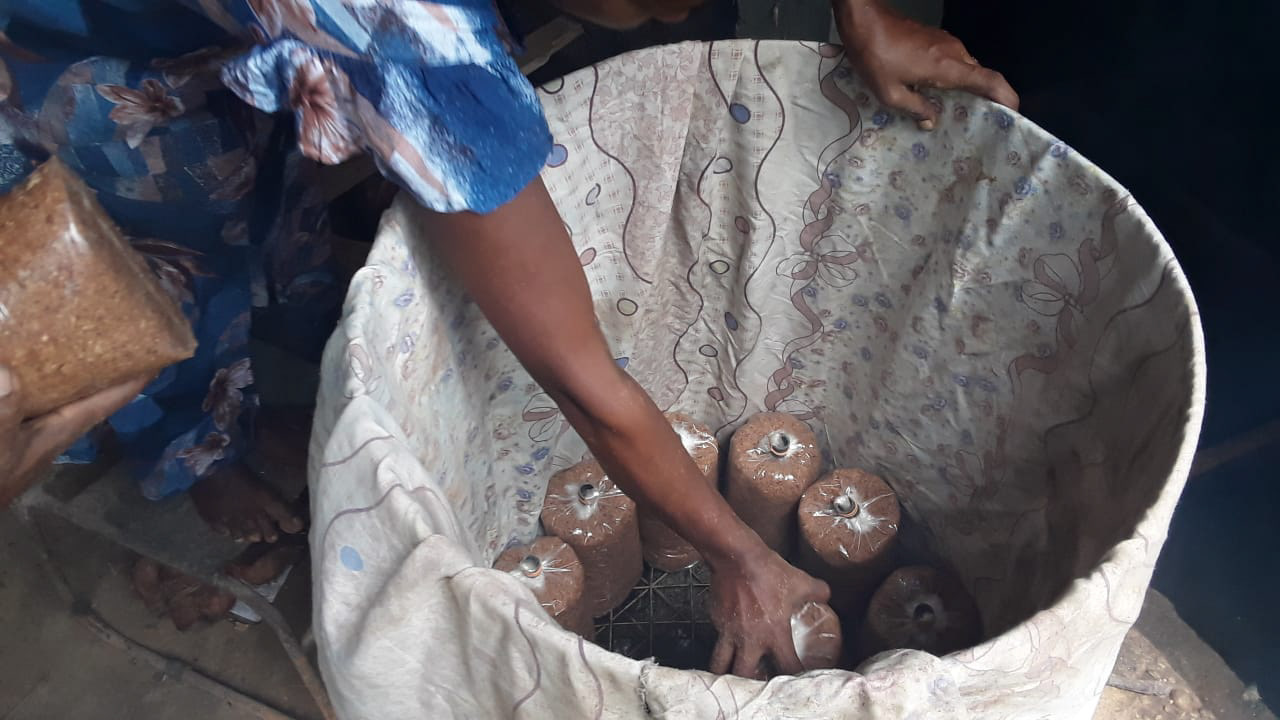 パックした土壌をドラム缶で蒸す様子