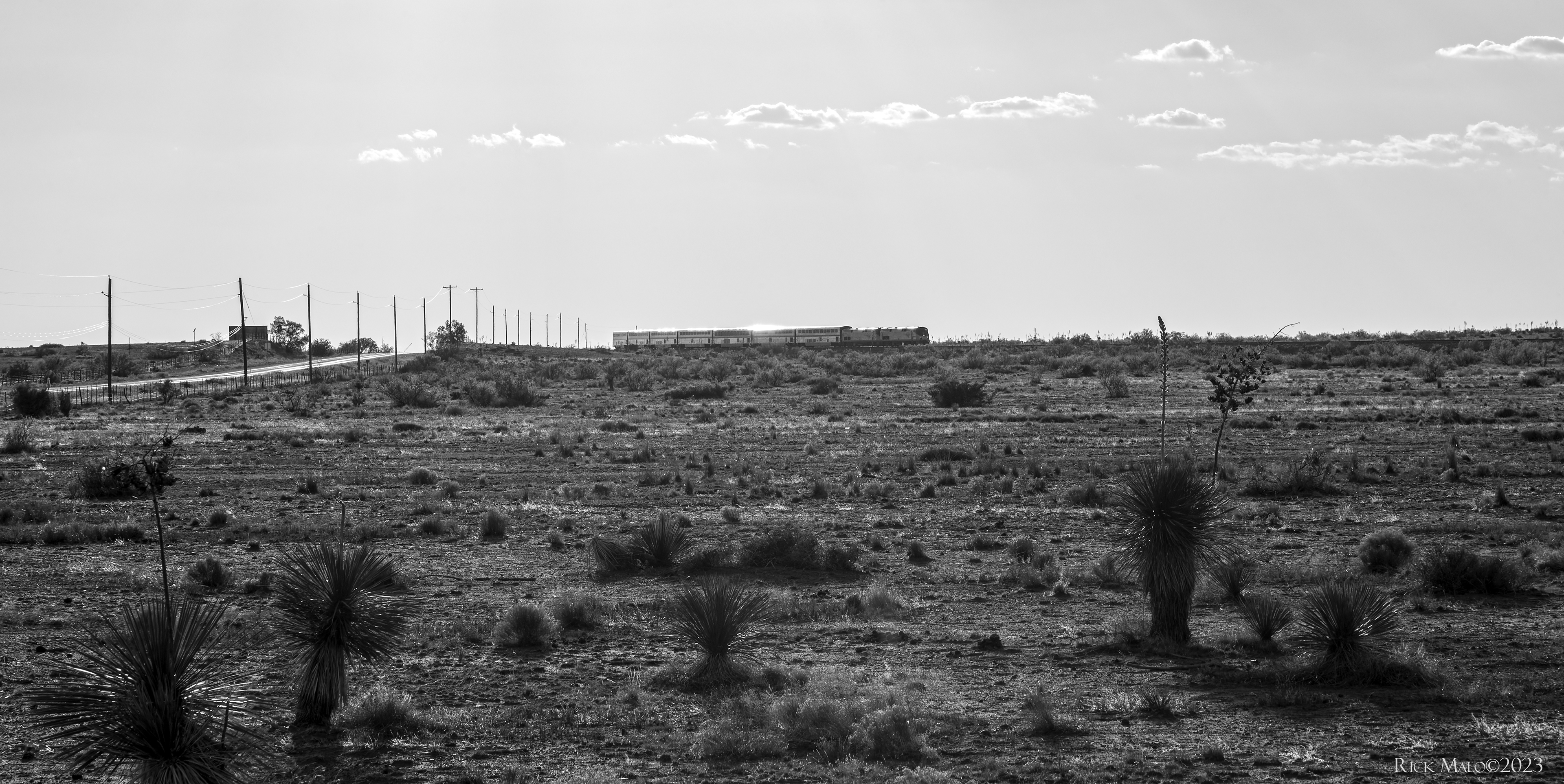 On a hot Summer 2021 afternoon the eastbound Sunset Limited speed across the high desert west of Marfa, Texas.
