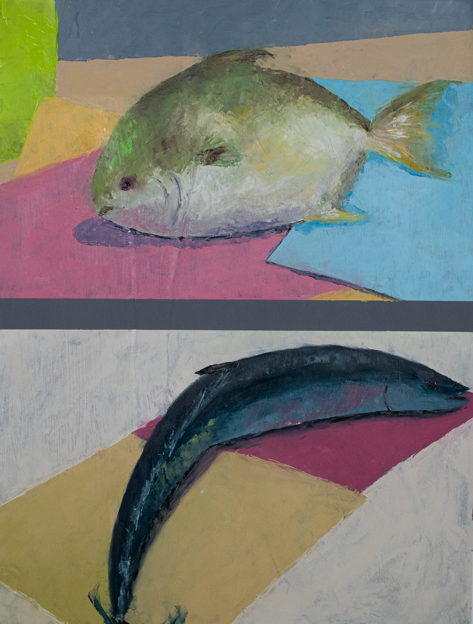 Fish Study