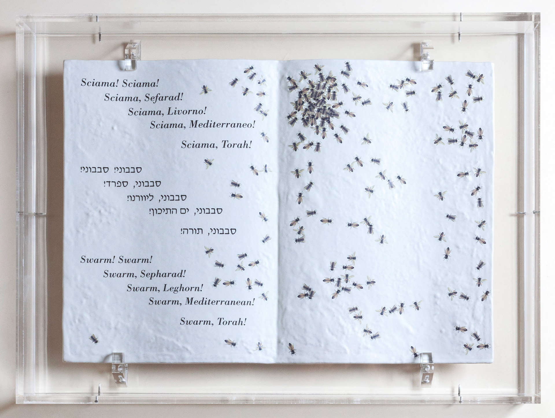 Emilio Isgrò - LE API DELLA TORAH - serigrafia su ceramica cm 41,5x59x4 2001