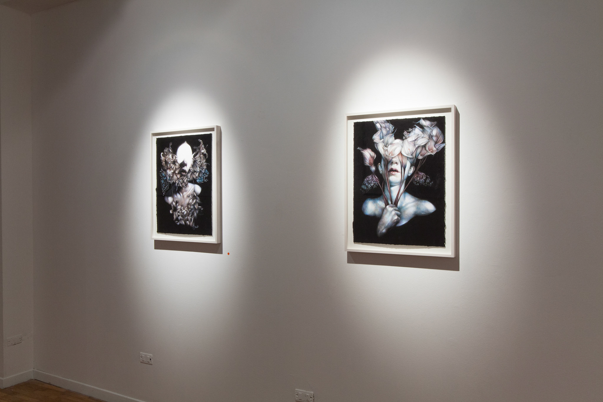 Marco Mazzoni - Galleria Armocida