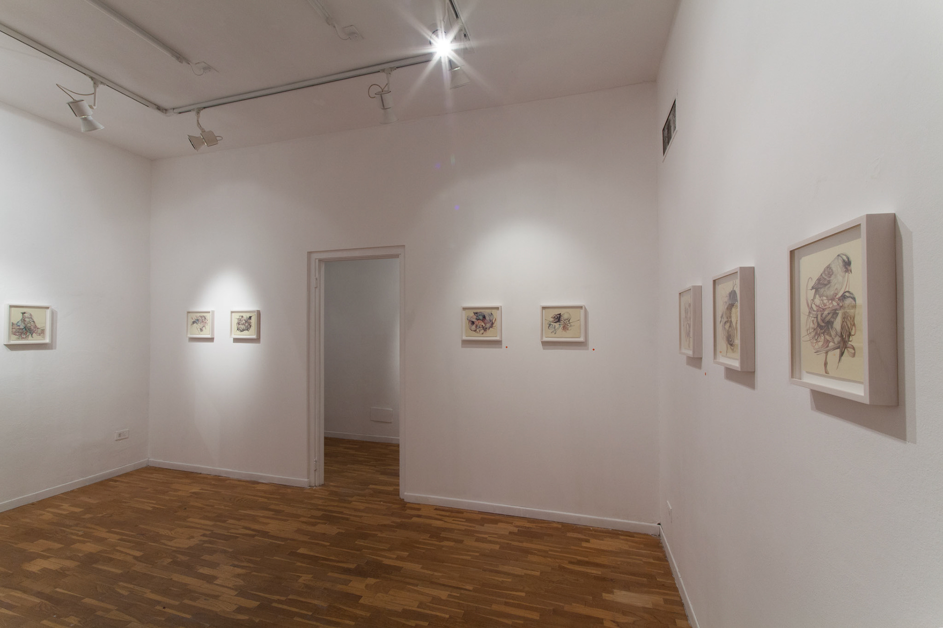 Marco Mazzoni - Galleria Armocida