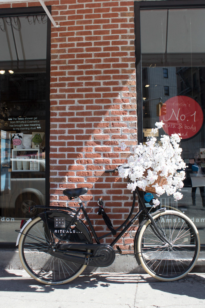 Summer arrived at home