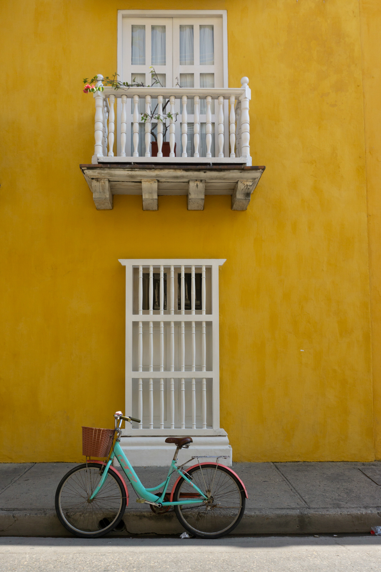 There is always a flower on the balcony