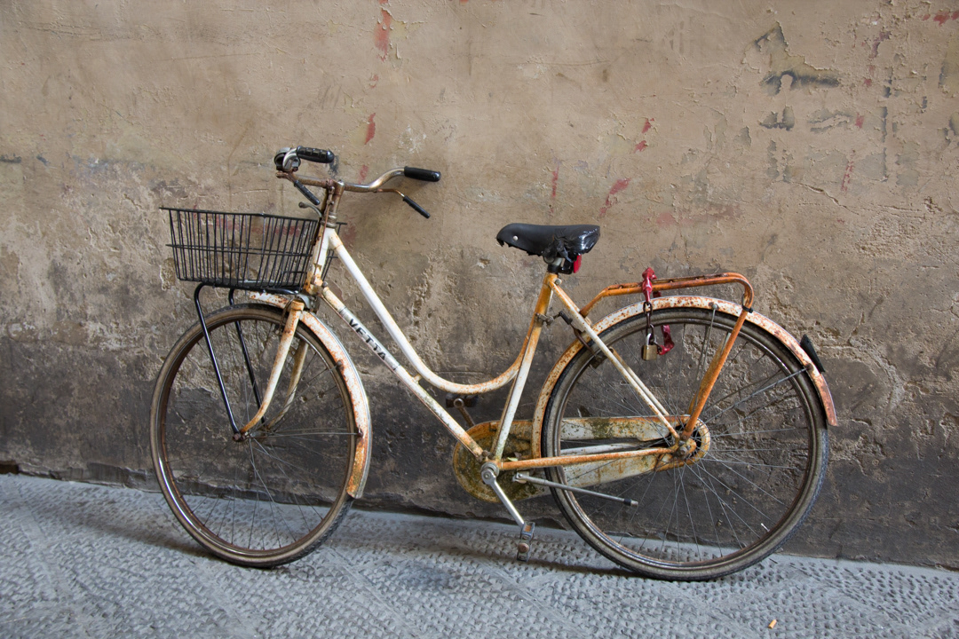 My owner tells me: Pretty ¿right? - Florence, 2015