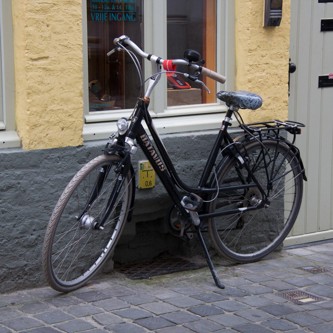 With the embroidered saddle- Bruges, 2015