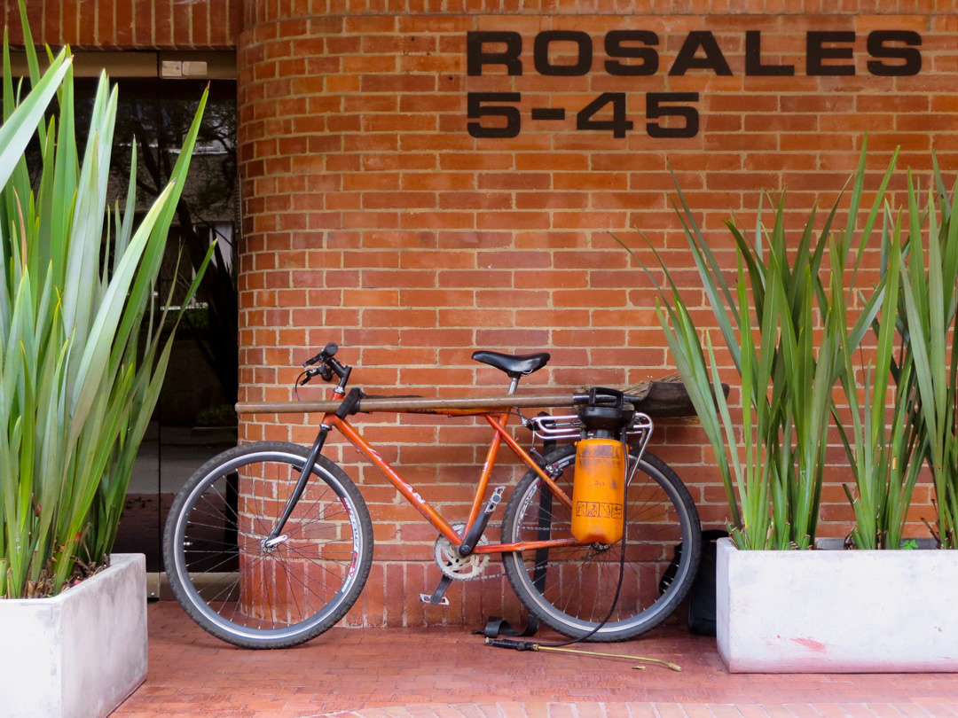 That of the Rosales gardener