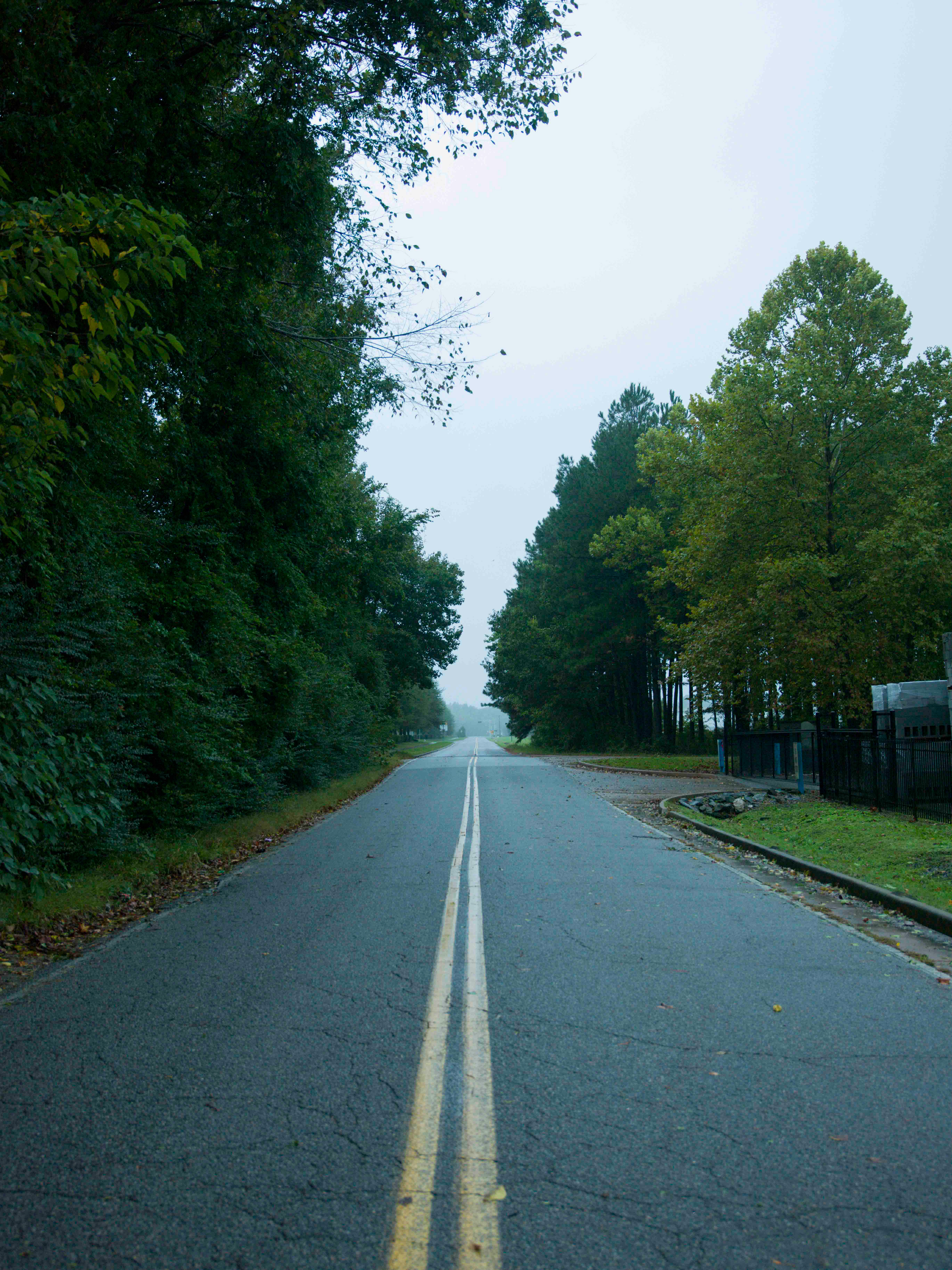 kenyon road 2, 2025