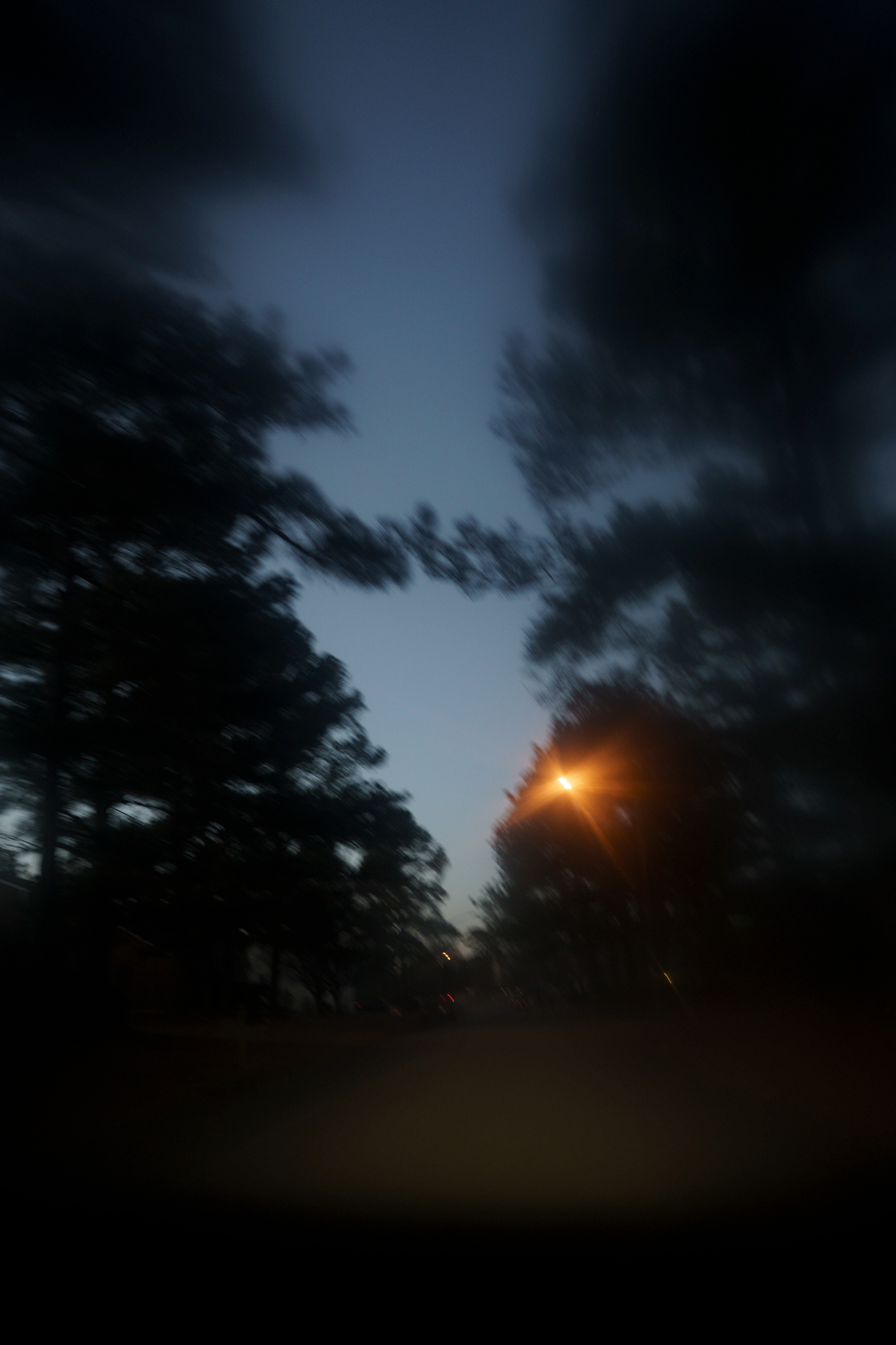 robin lane in the evening, 2026