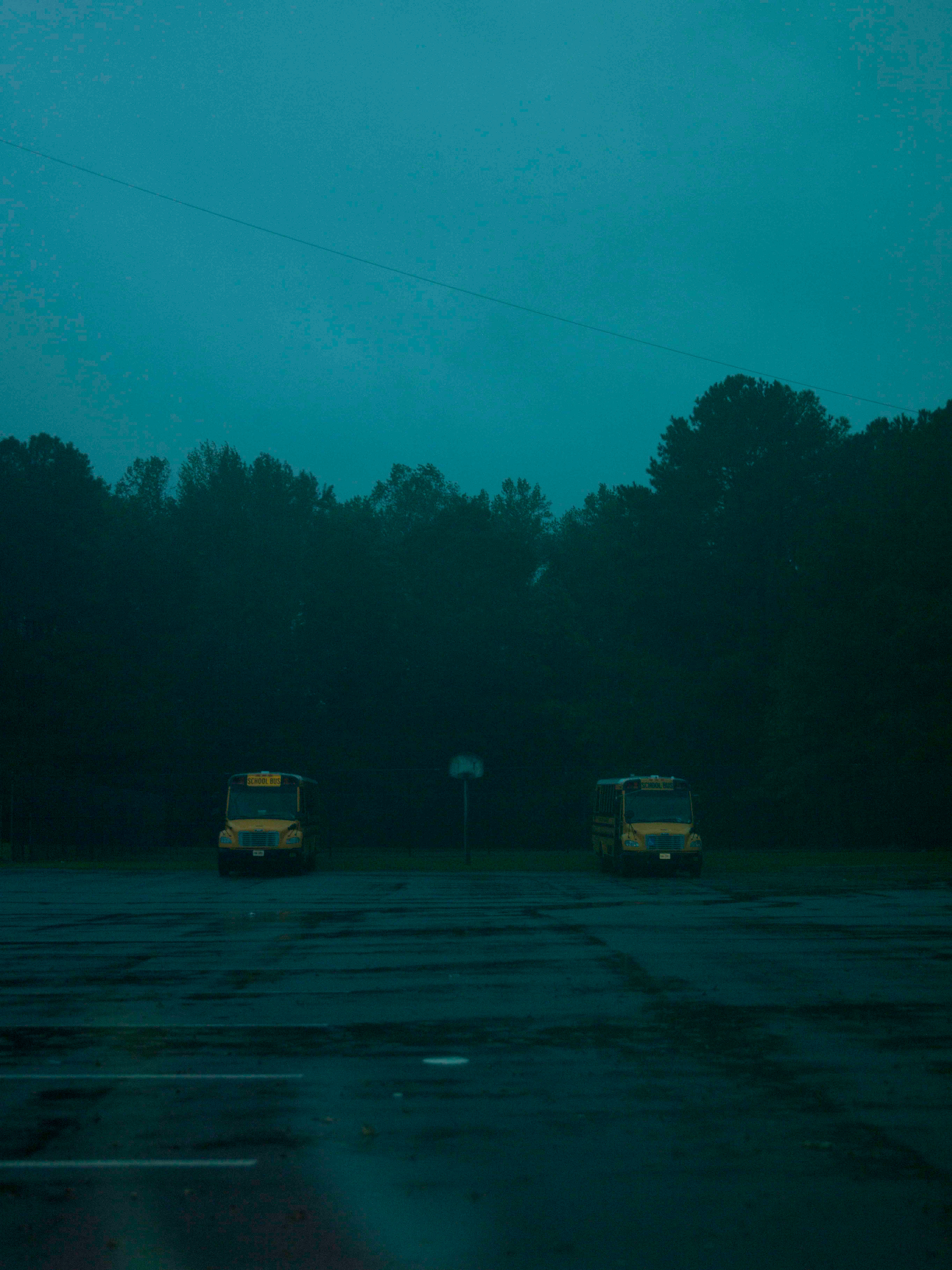 forest glen, 2025