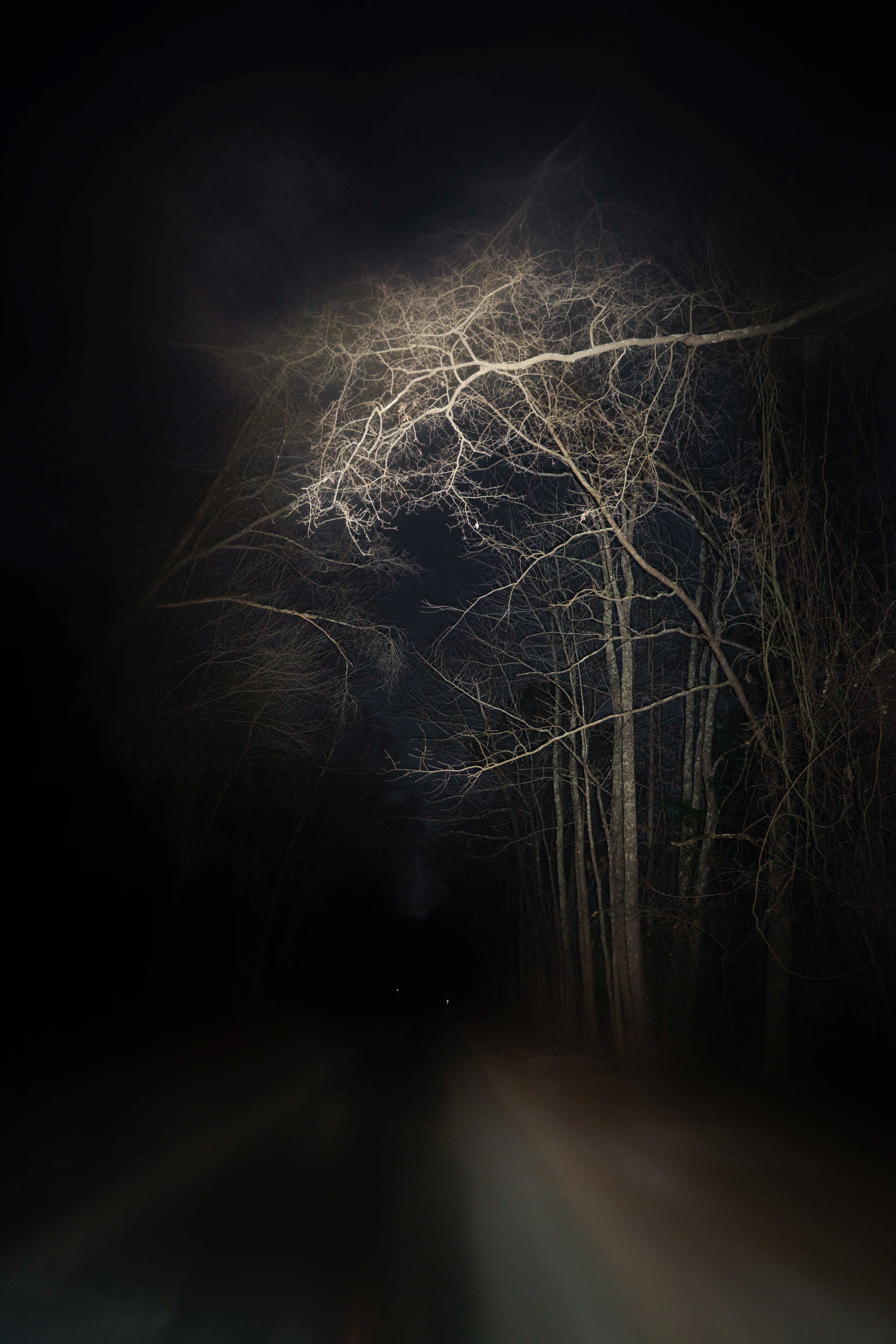 robin lane at night, 2026