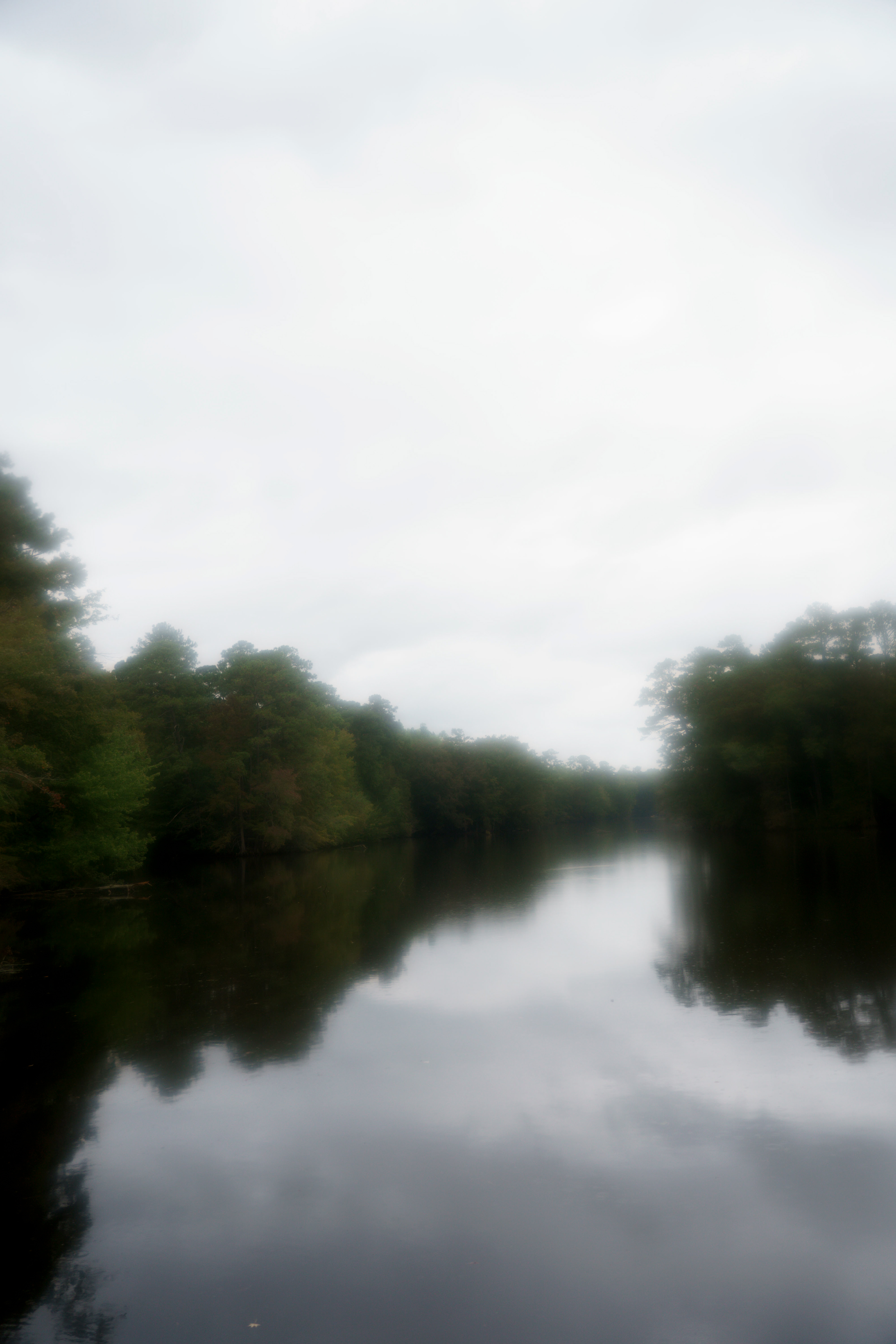 the lake, 2025