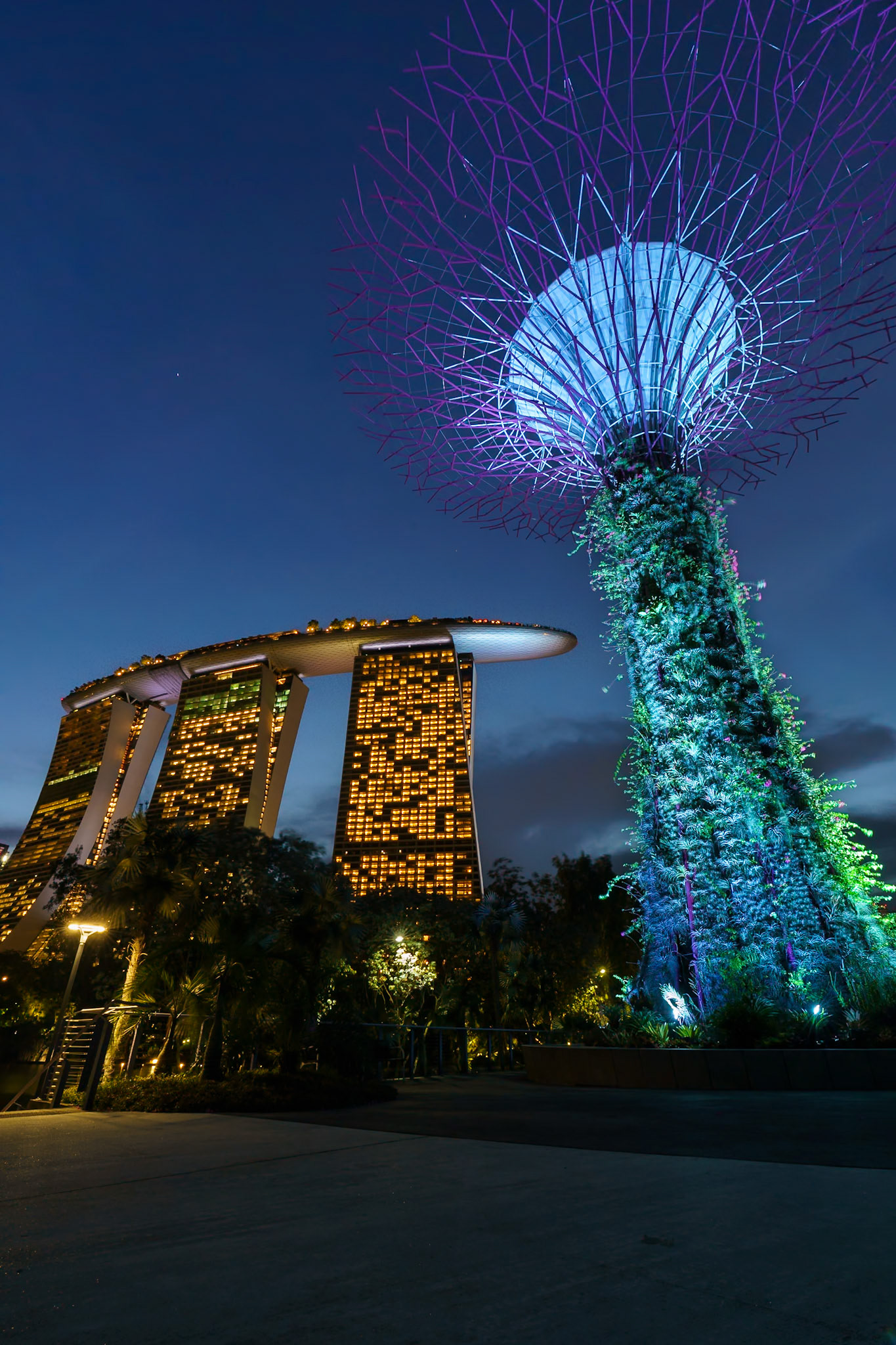 The Blue Hour Gardens By The Bay