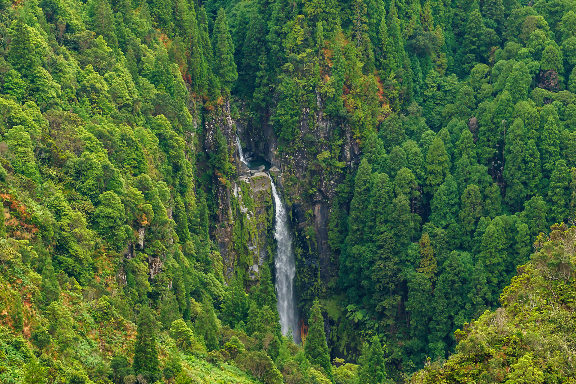 Açores Waterfall