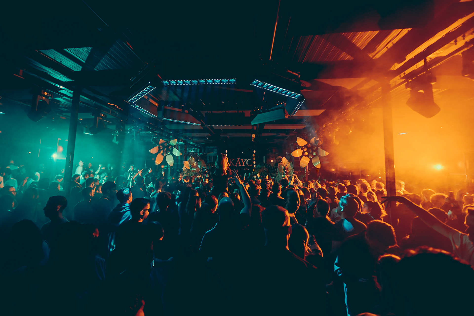 Party Crowd