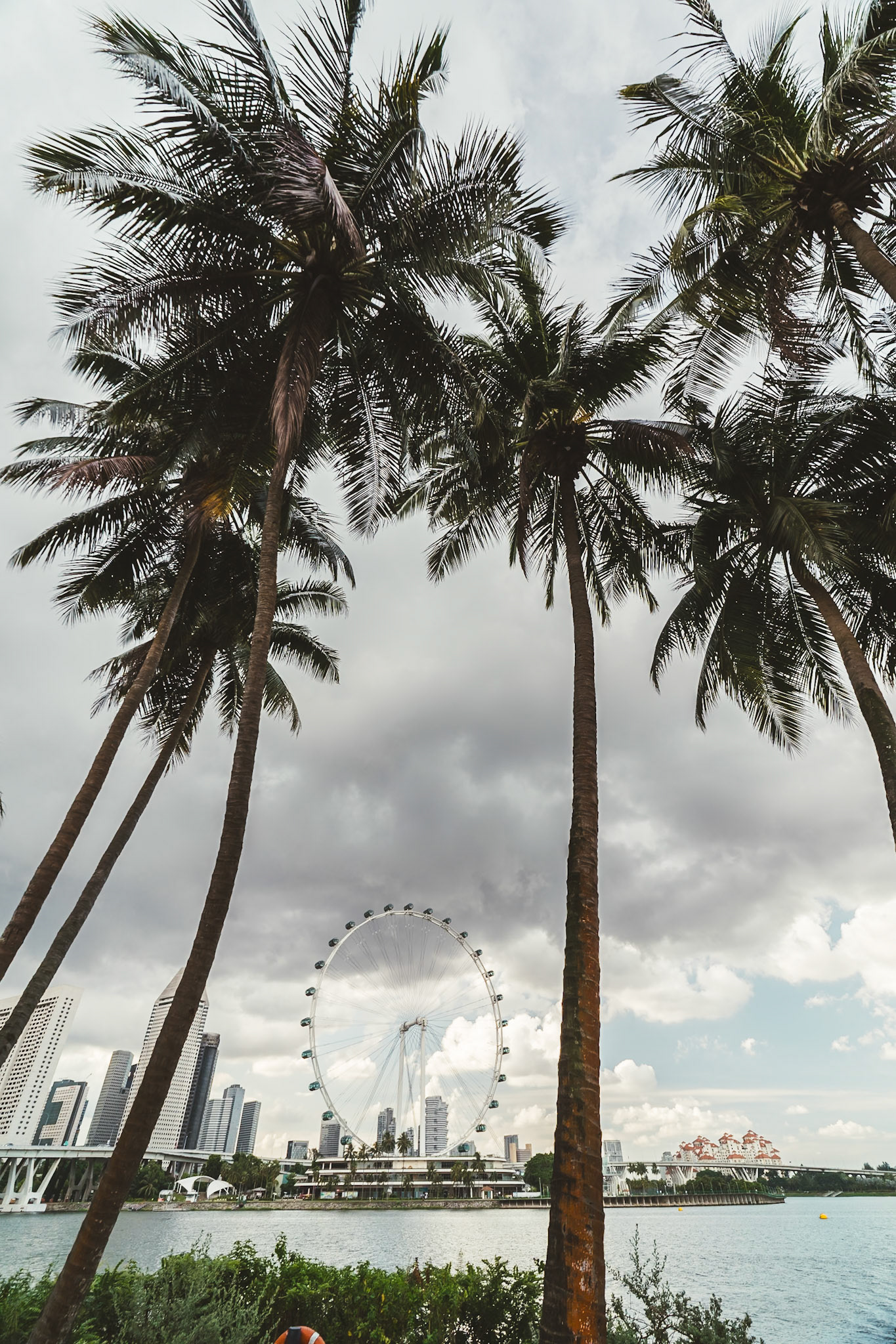 Singapore Flyer Observation