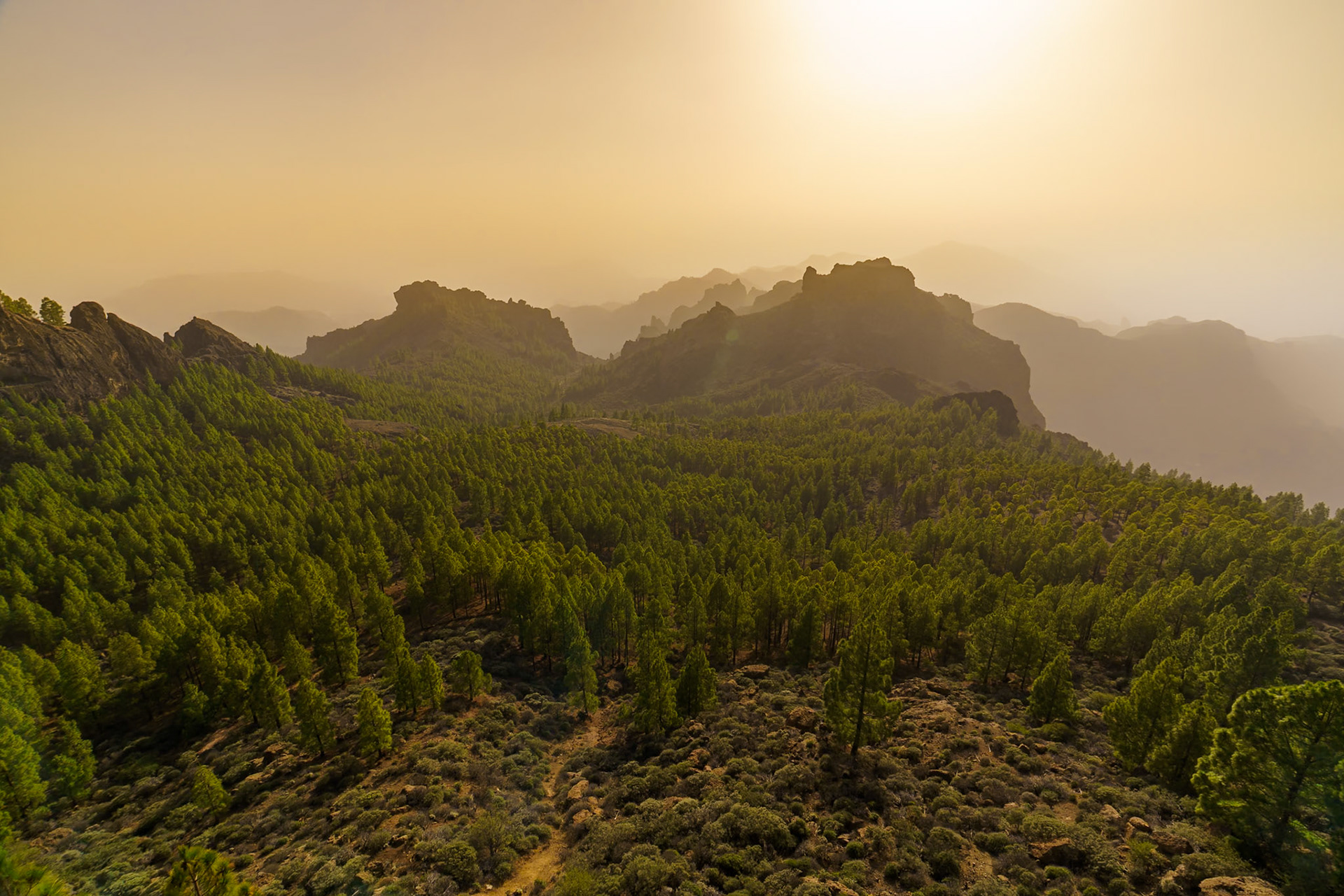 Gran Canária Nature