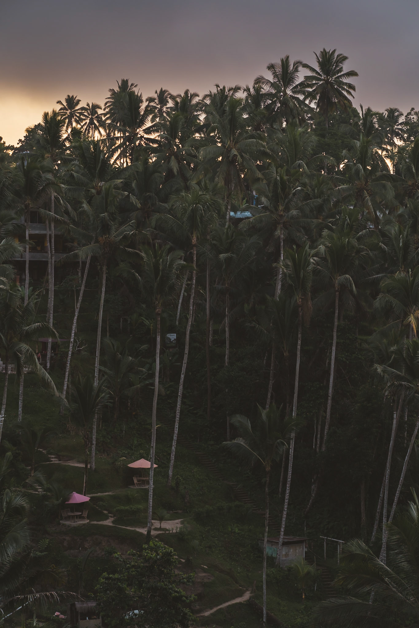 Tegalalang Rice Terraces