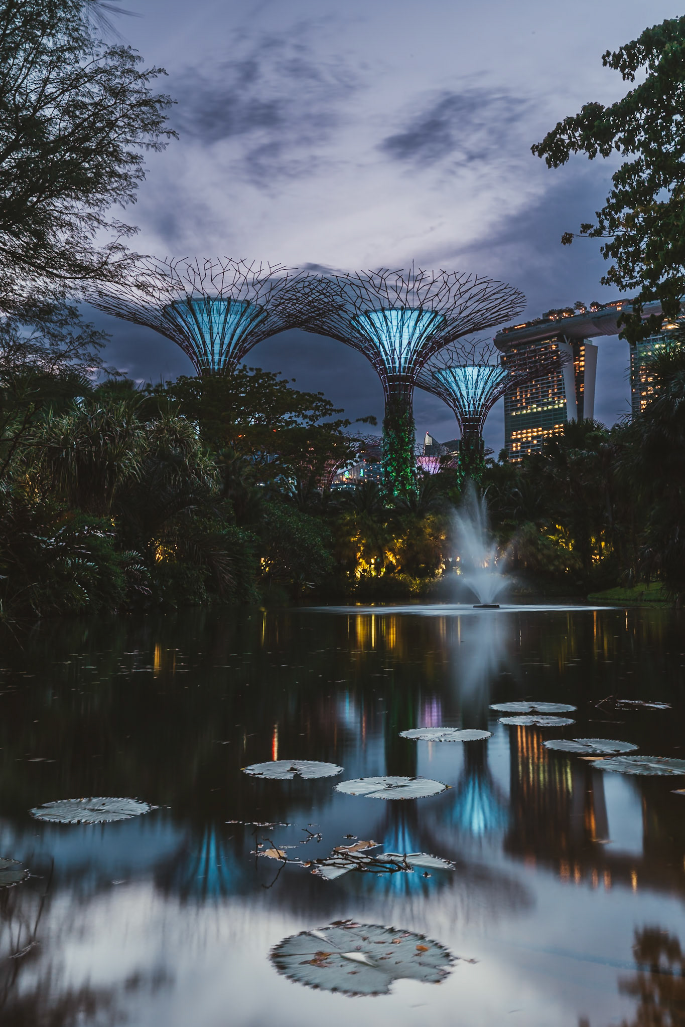 Sunset Gardens By The Bay