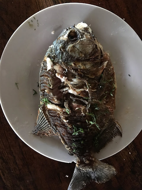 Piraña lunch