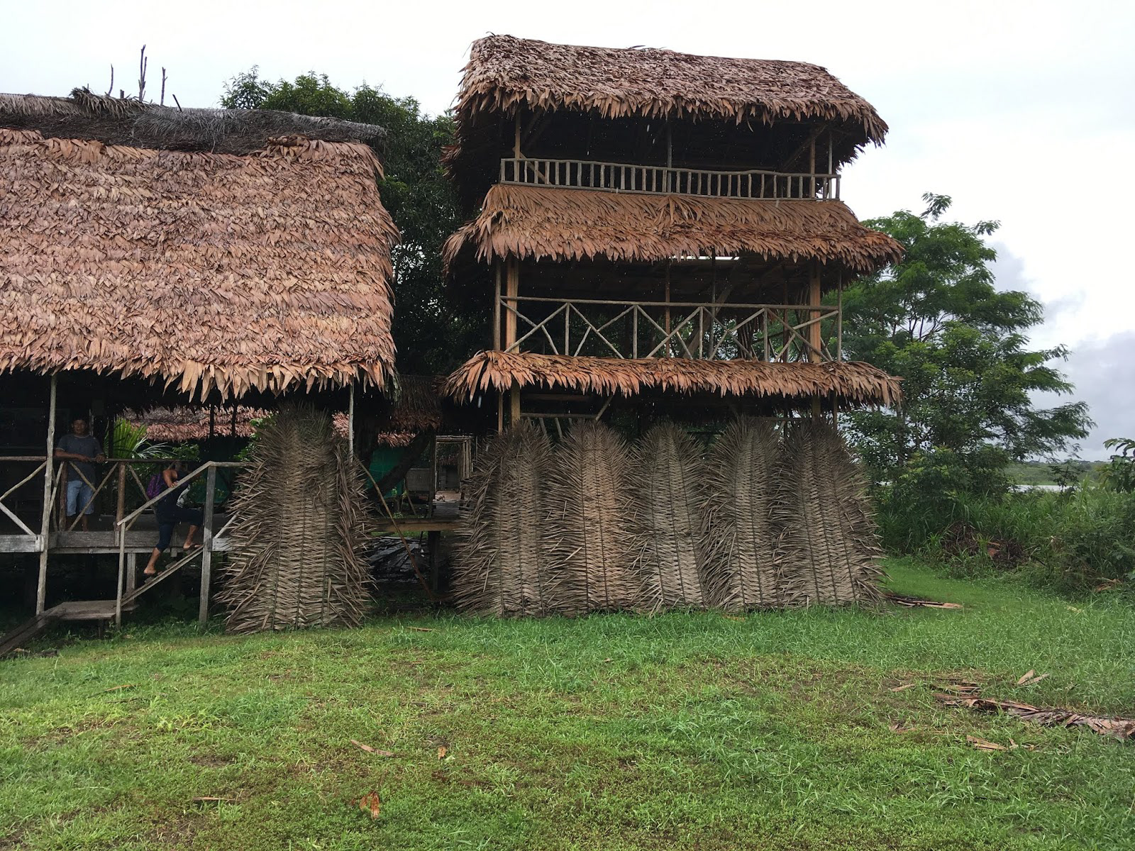 Thatched hut