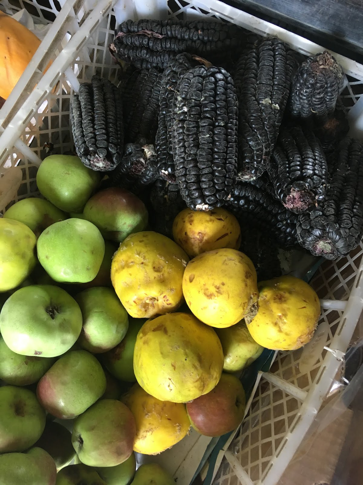 Black corn (maize) @ Miraflores convenient store