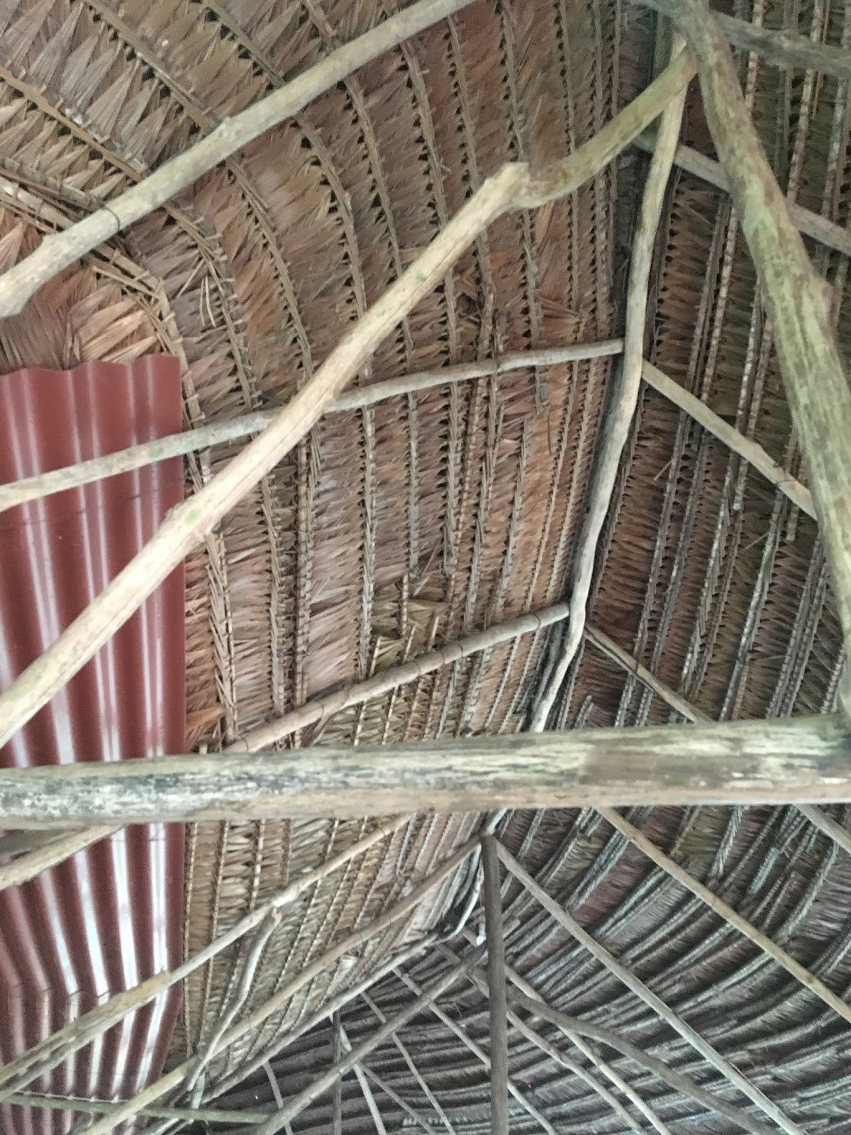 Thatched hut