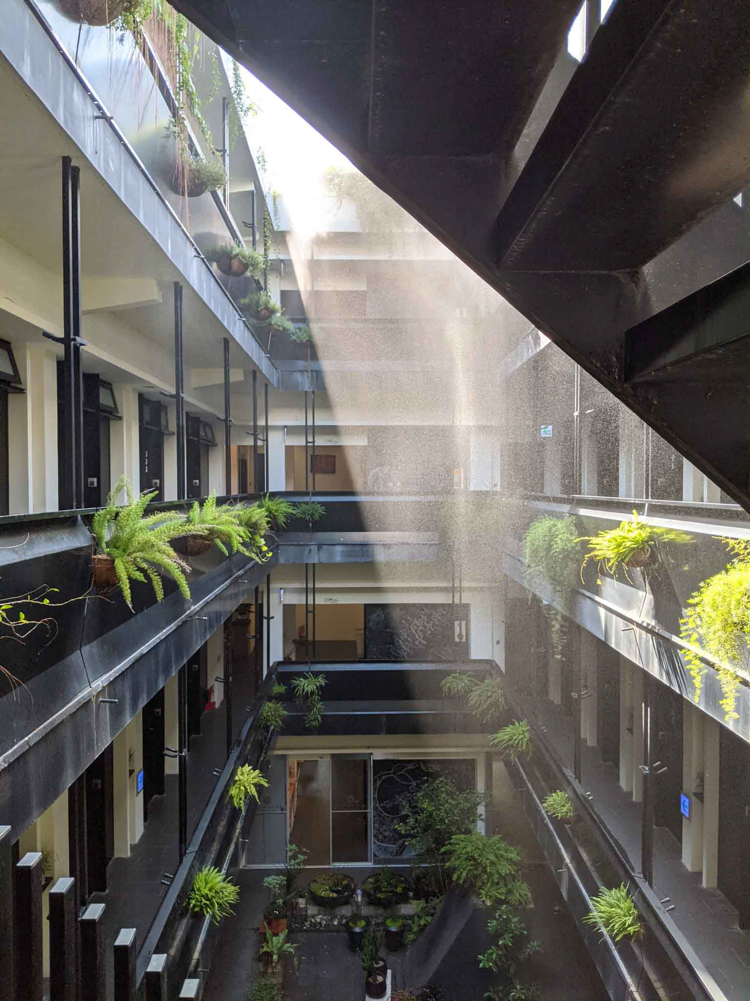 霧氣中的路得行旅