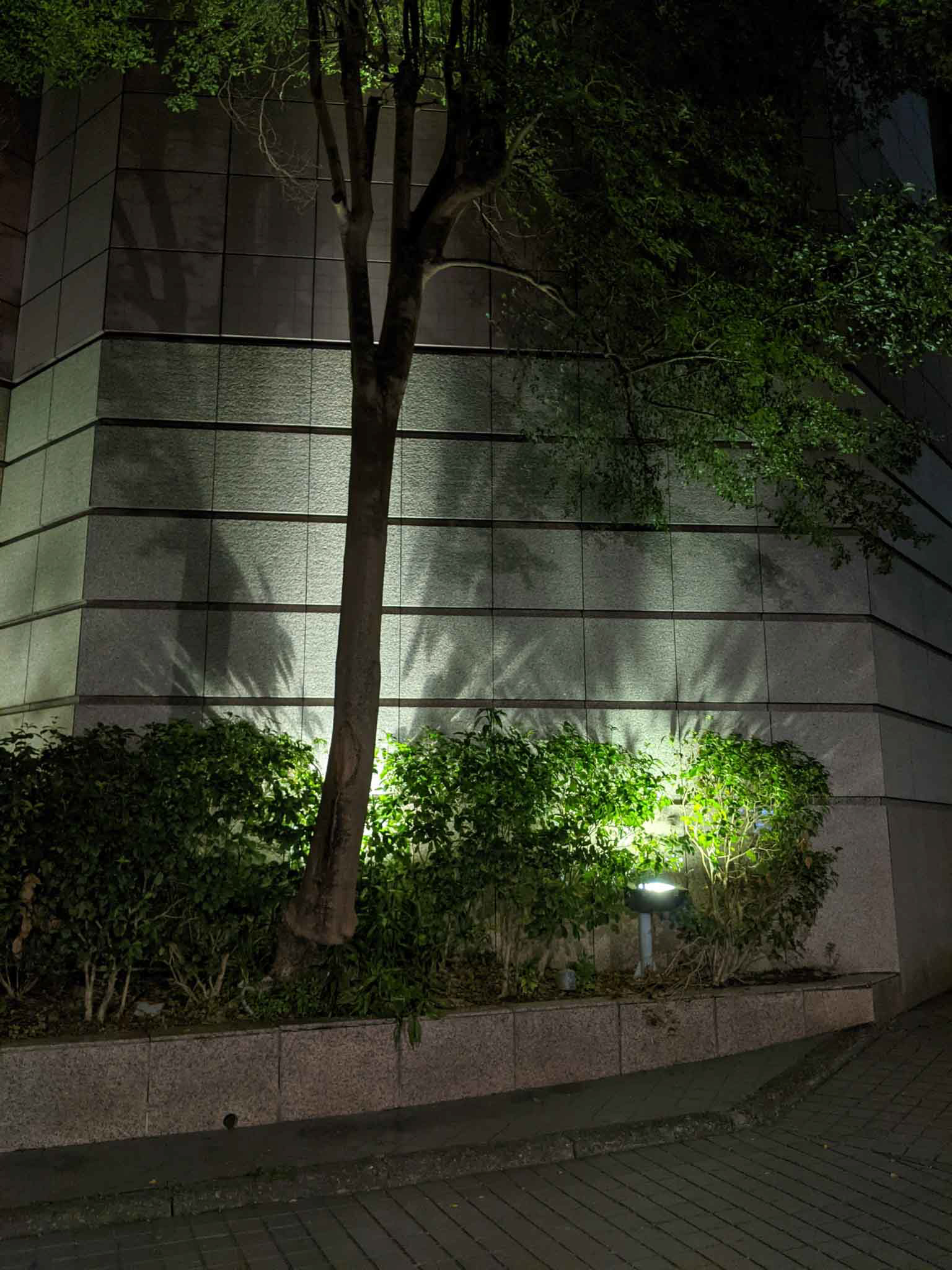 世貿國際會館外牆