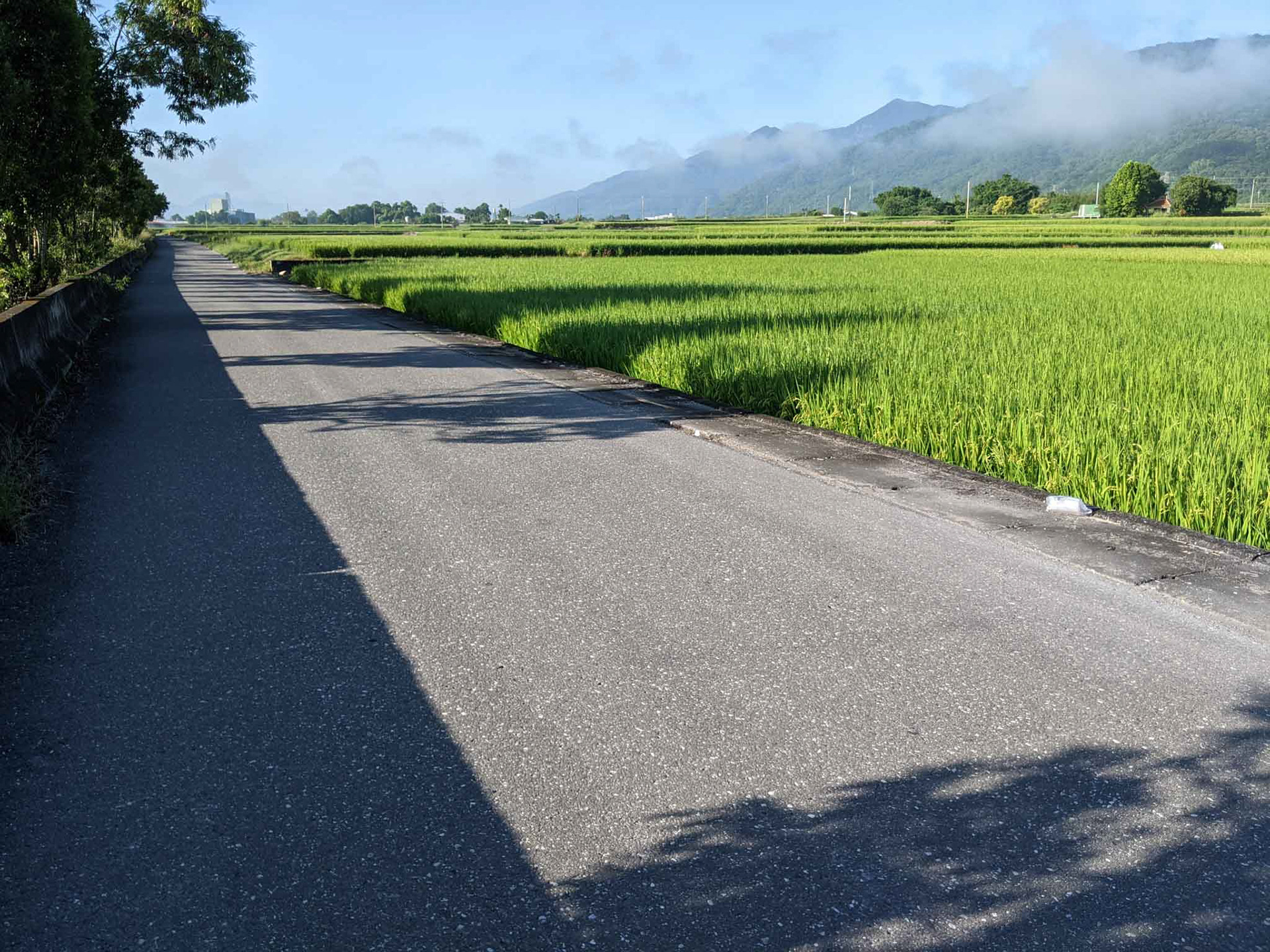 鄉間小道