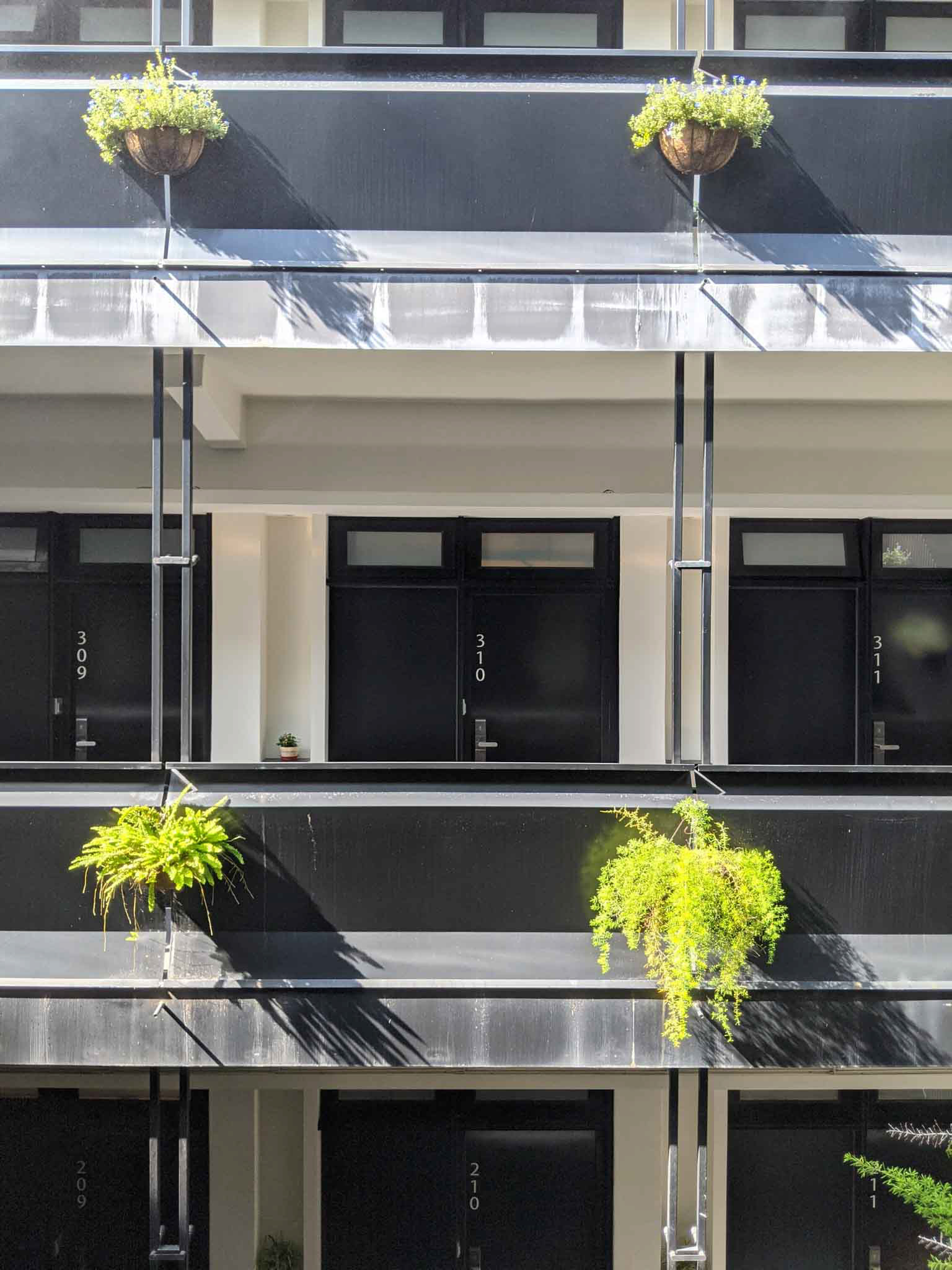 早上的路得行旅