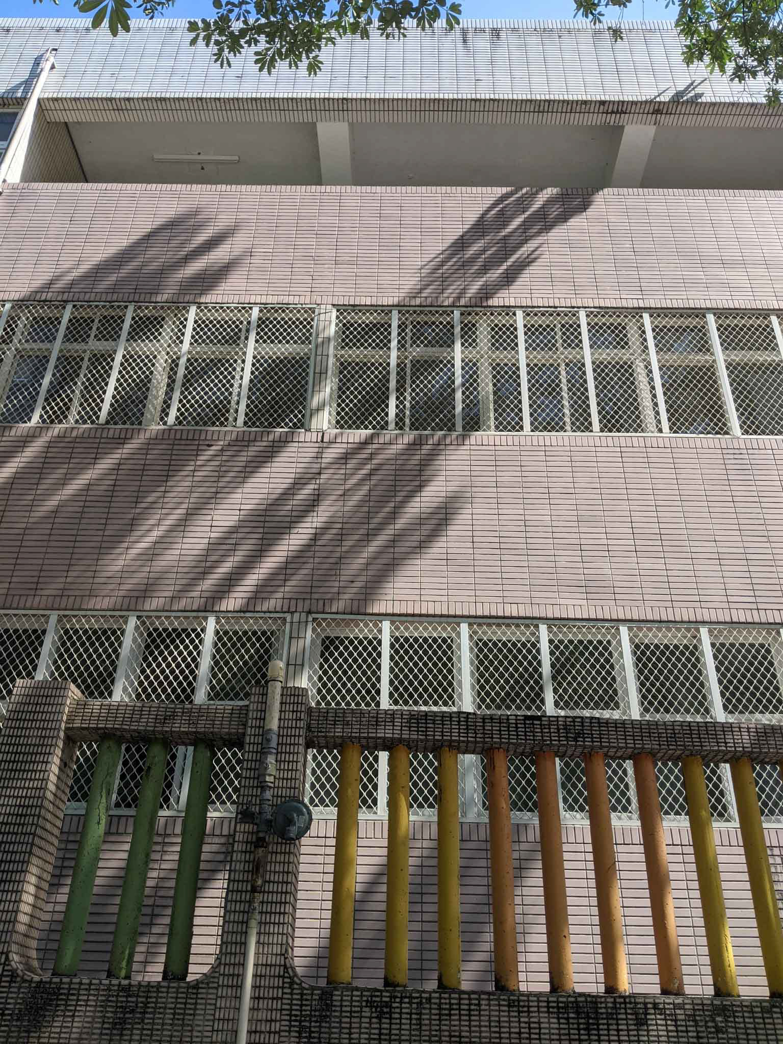 辛亥國小上午