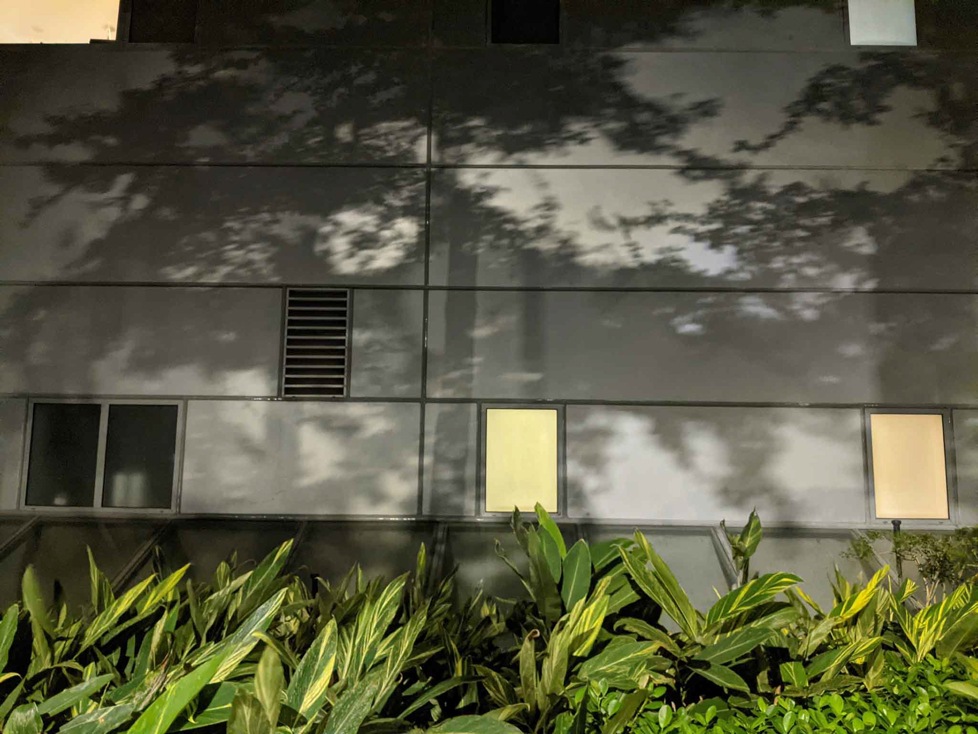 莊敬路6巷路燈2