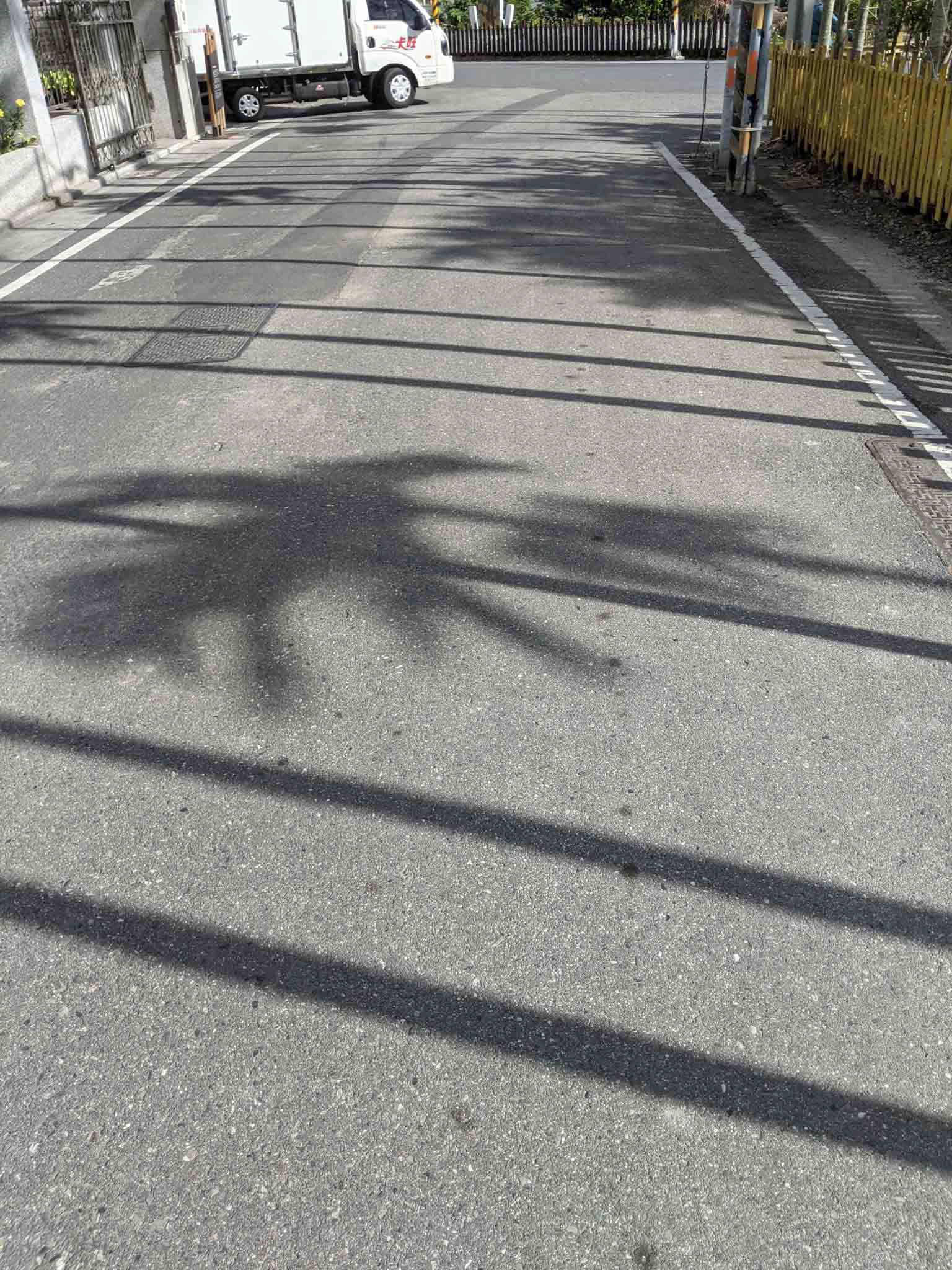 池上鄉間小道2