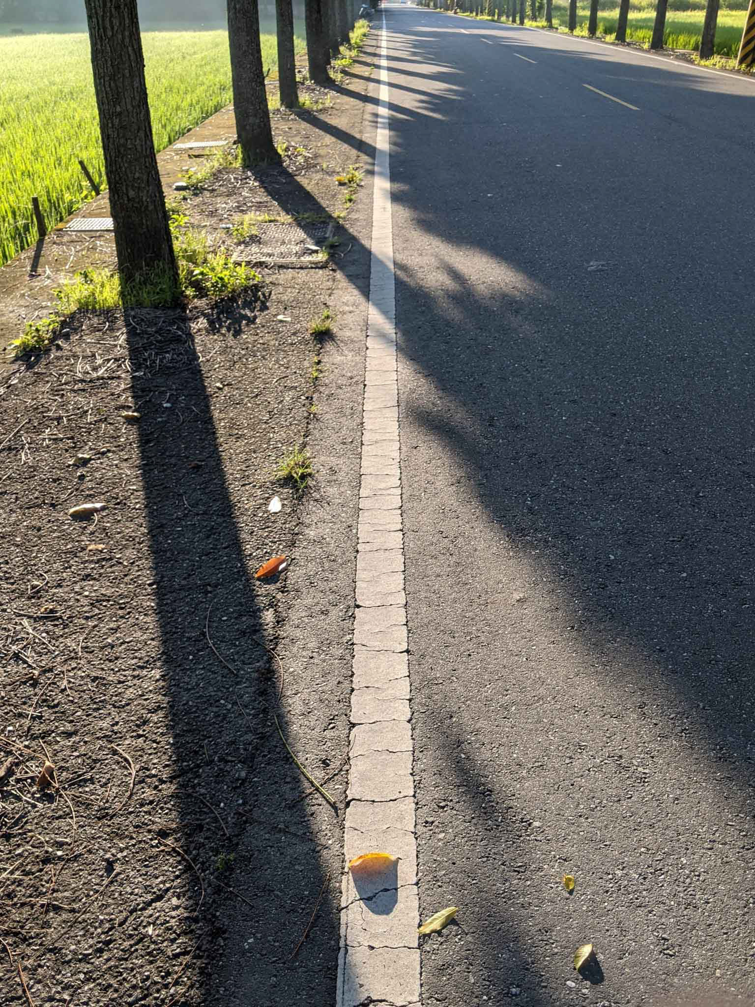 早晨的更生路3