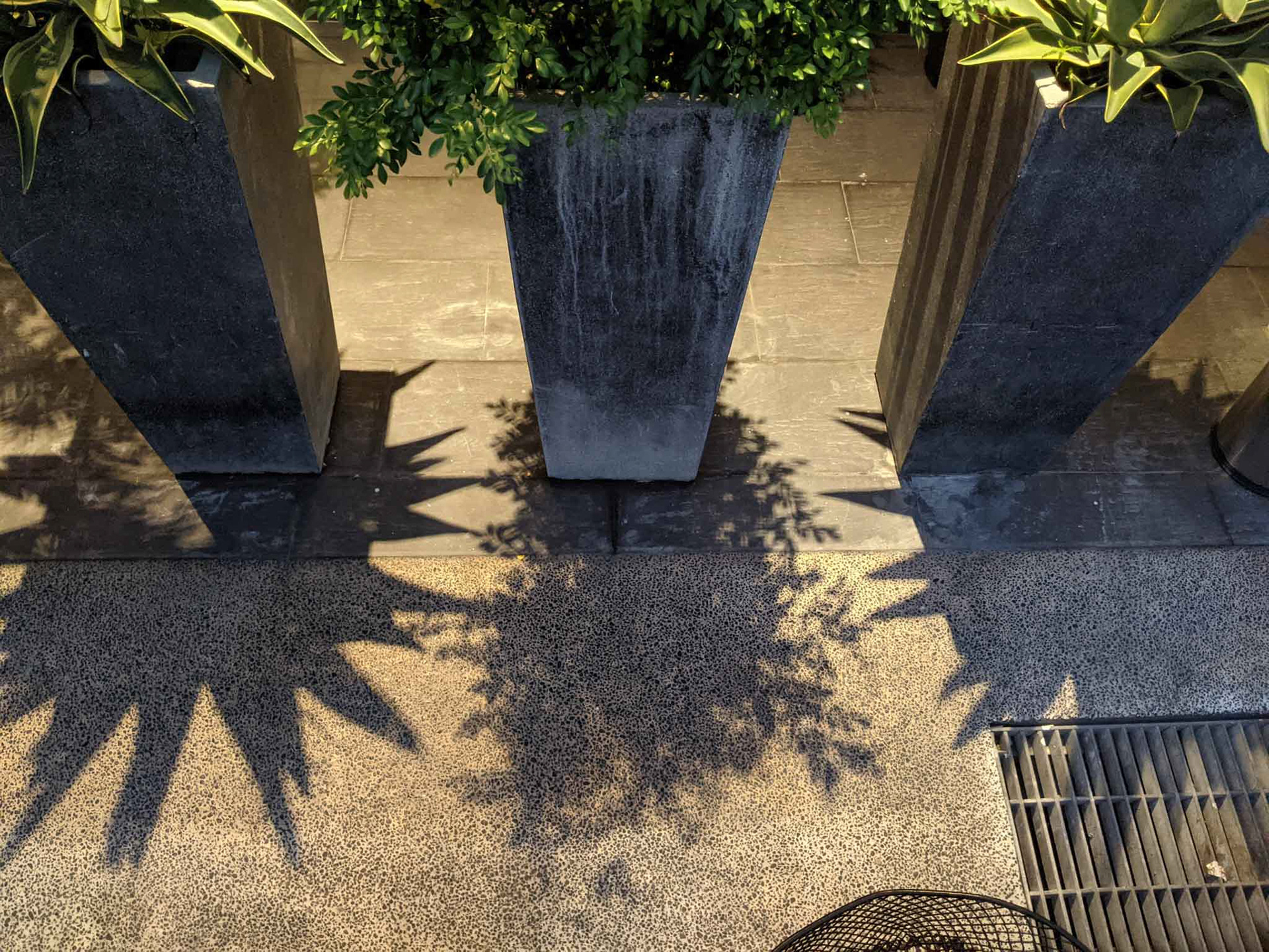 路得行旅大門盆栽