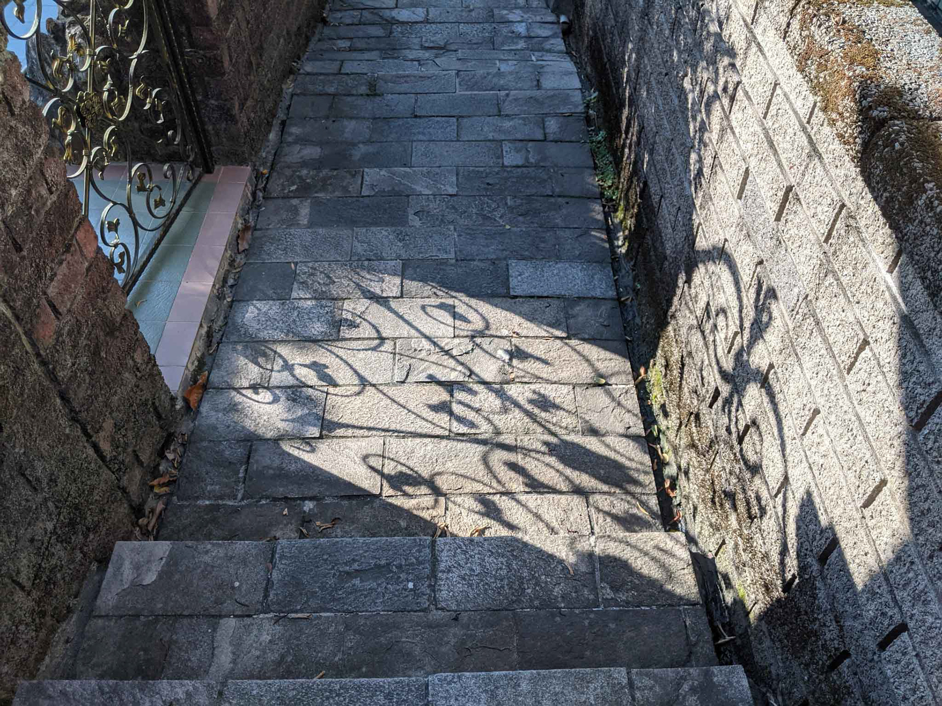 鄰居的前院大門