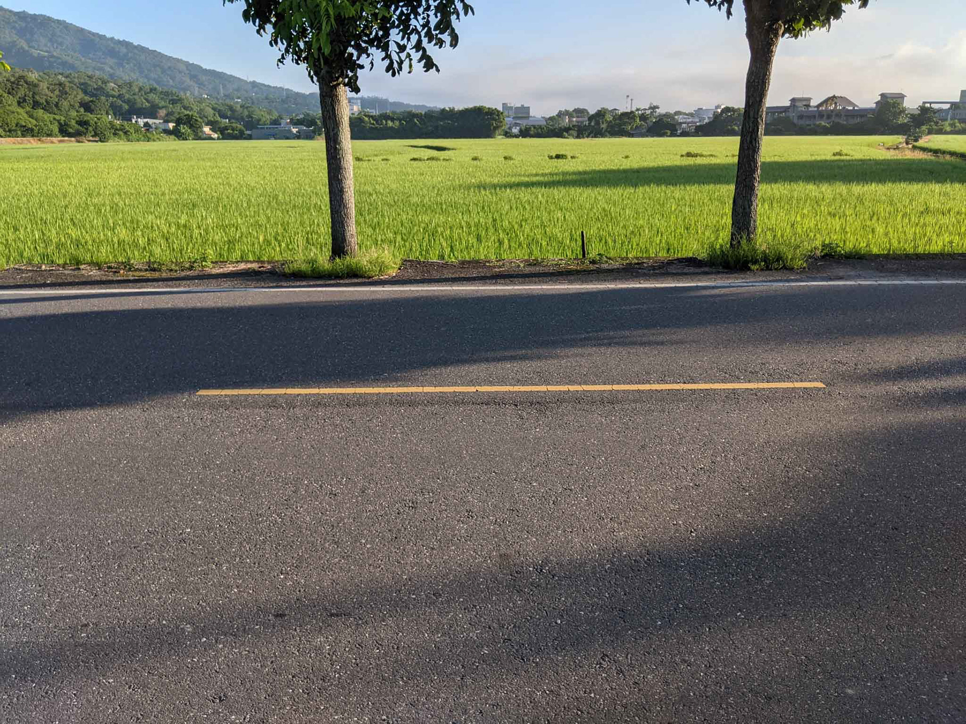 早晨的更生路2