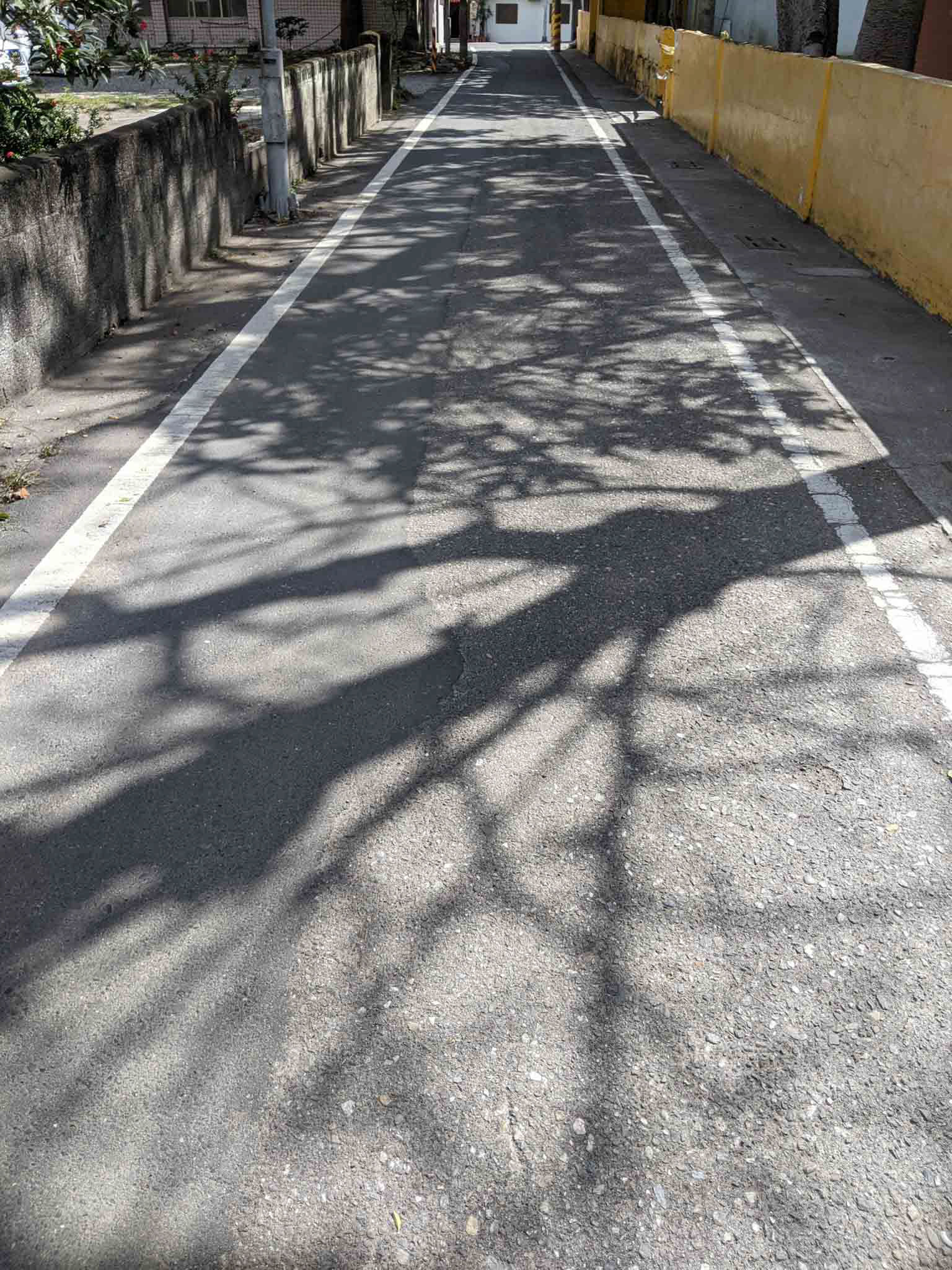 池上鄉間小道1